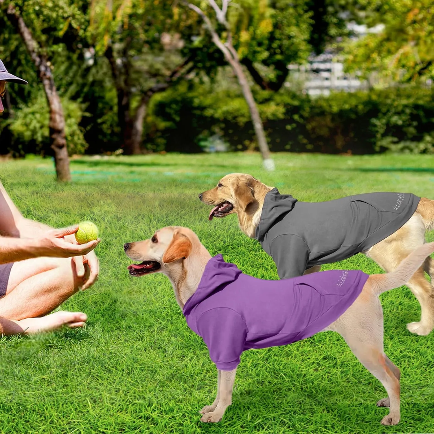 2 Pieces Basic Cotton Dog Hoodie Sweater, Soft Pet Clothes Dog Sweatshirts, Dog Outfit Coat Pullover with Pocket and Leash Hole for Small Medium Large Dogs Dark Grey & Purple/Sleeved(XX-Large)