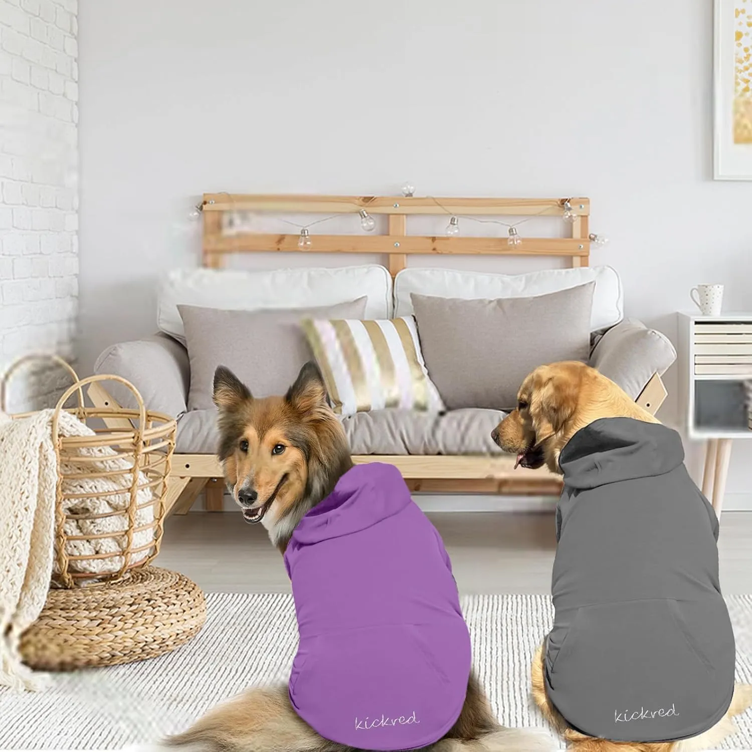 2 Pieces Basic Cotton Dog Hoodie Sweater, Soft Pet Clothes Dog Sweatshirts, Dog Outfit Coat Pullover with Pocket and Leash Hole for Small Medium Large Dogs Dark Grey & Purple/Sleeved(XX-Large)