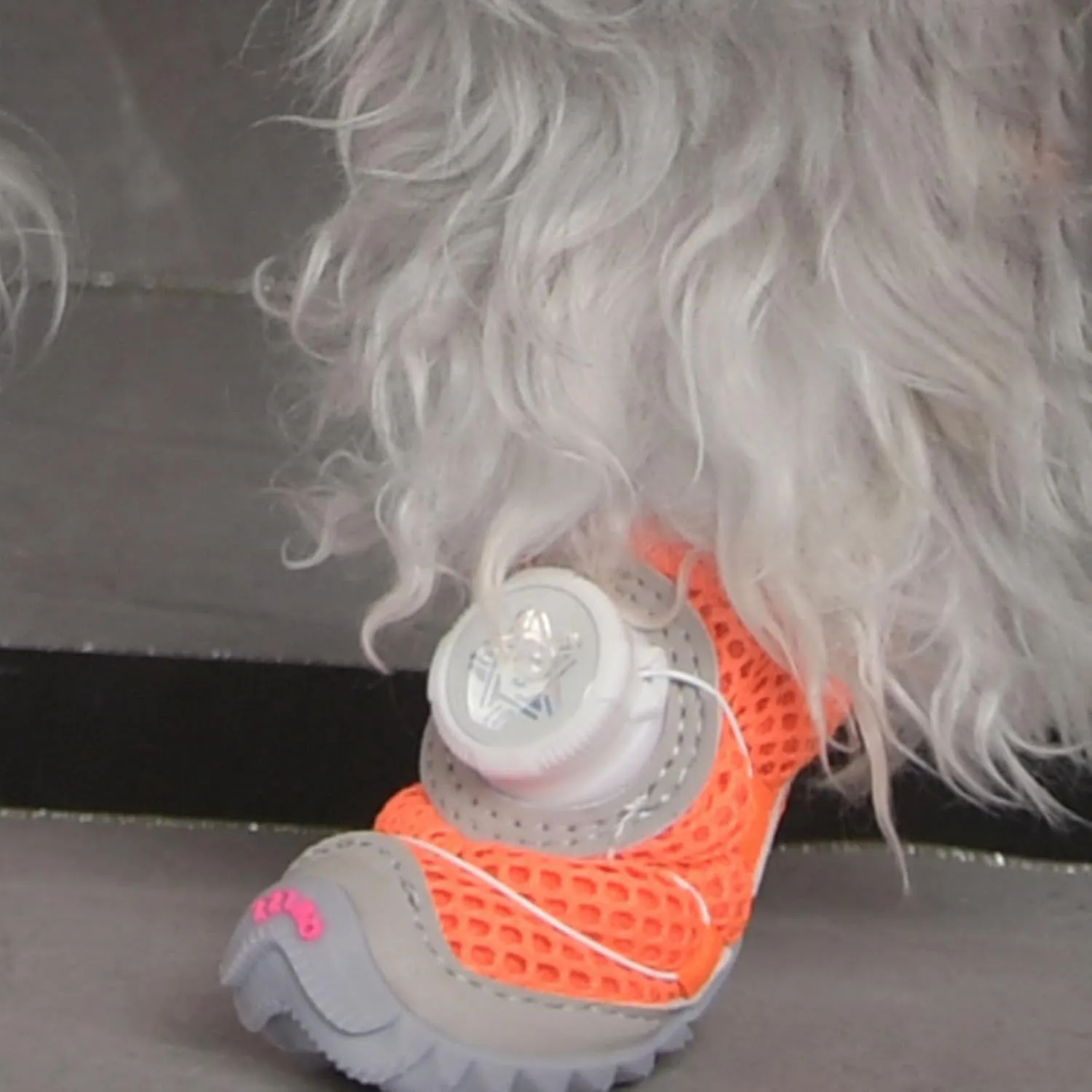 2pack Small Dog Shoes with Soft Soles Comfortable Protective Dog Footwear for Small Media Large Pet