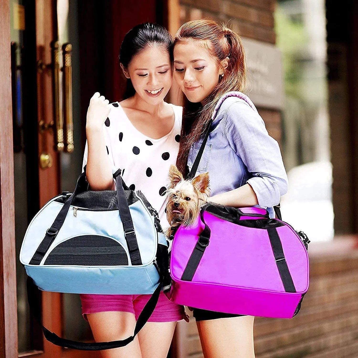 Airline-Approved Soft-Sided Pet Carrier – Portable Foldable Comfort Bag for Cats & Small Dogs (Blue)