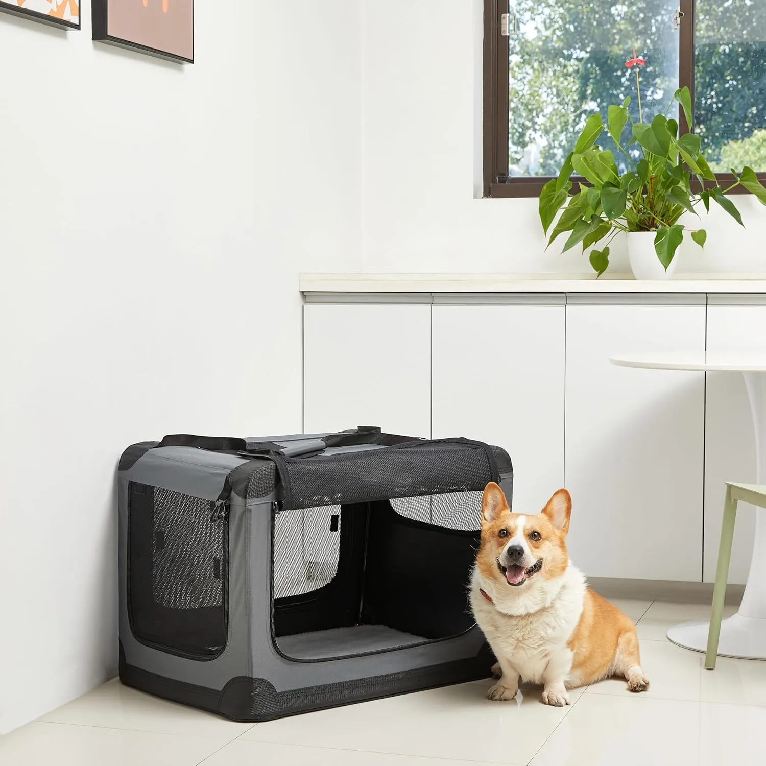 Amazon Basics 4-Doors Portable Soft-Sided Folding Travel Crate Kennel for cat, Dog, and Other Small Animals, Grey, M 30" x 21" x 21"