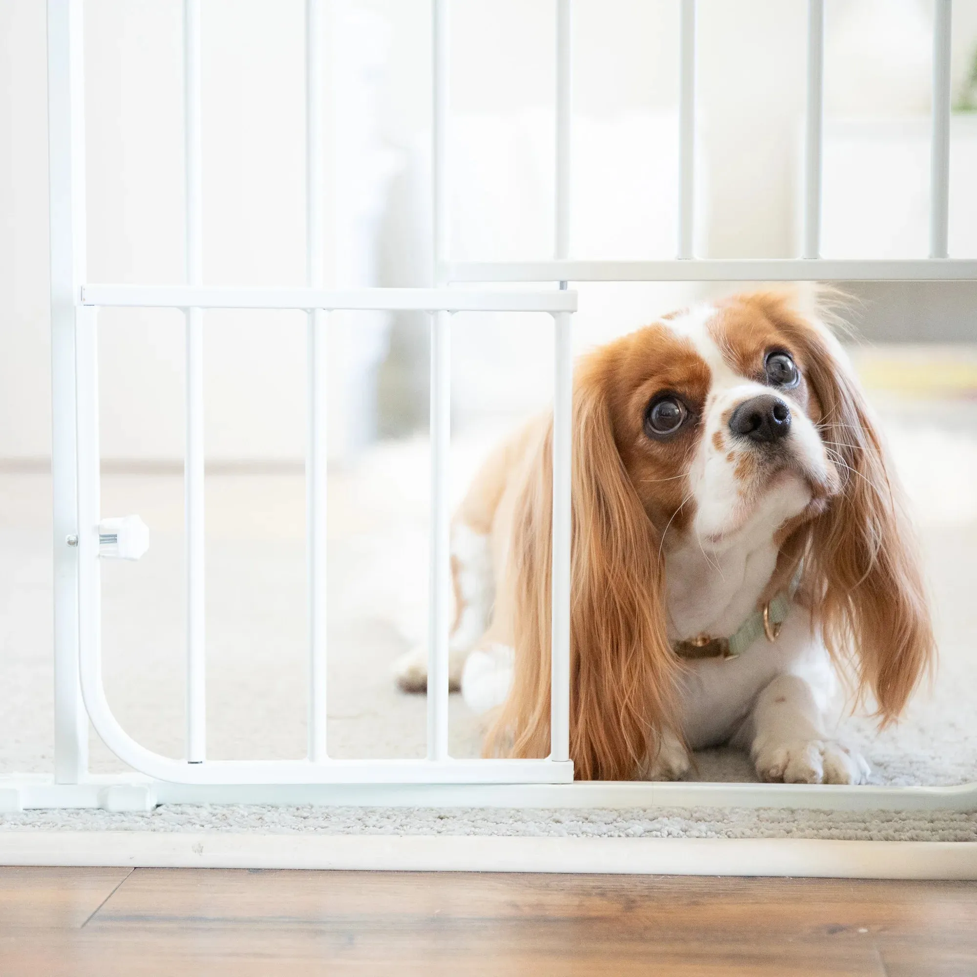 Big Tuffy® Expandable Pet Gate