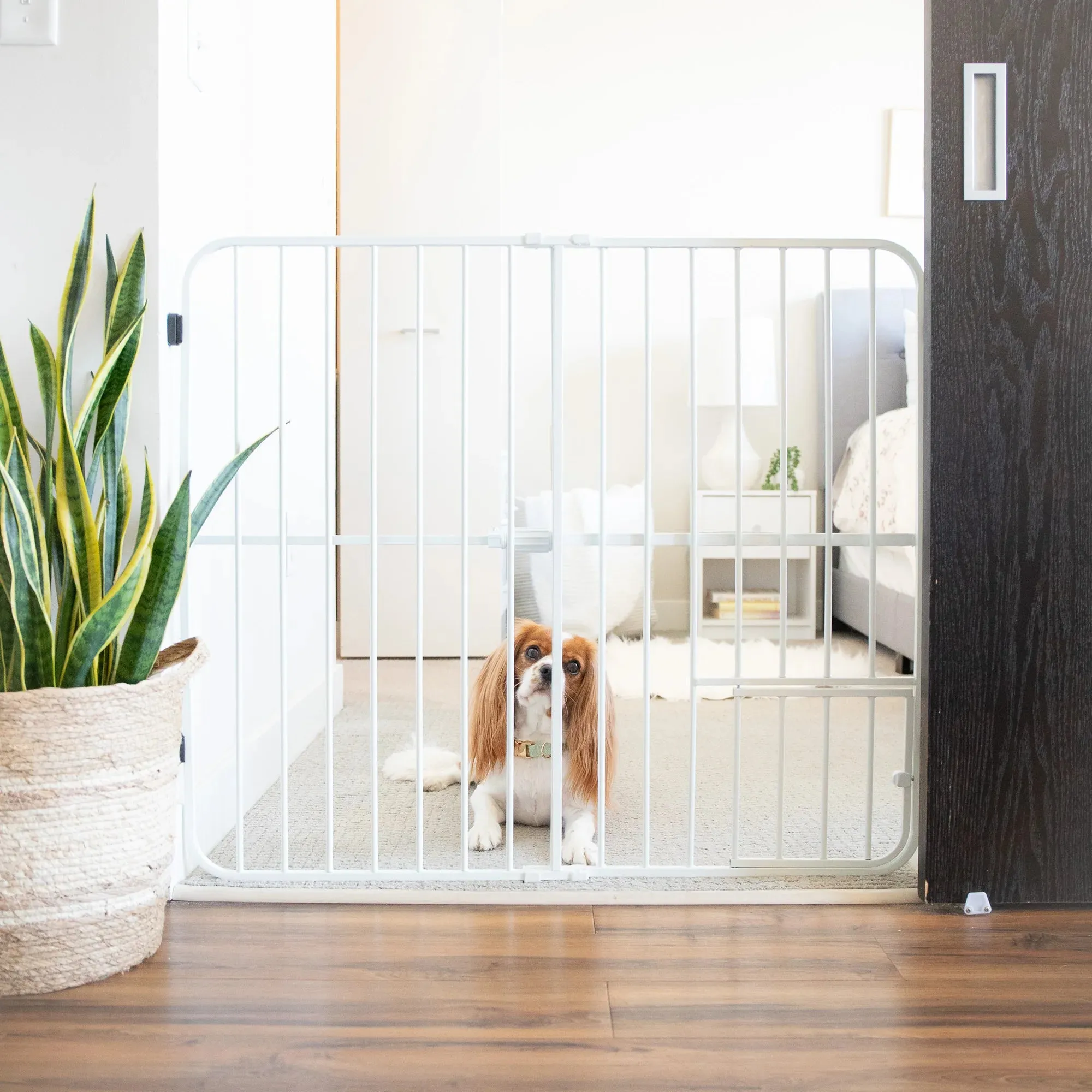 Big Tuffy® Expandable Pet Gate
