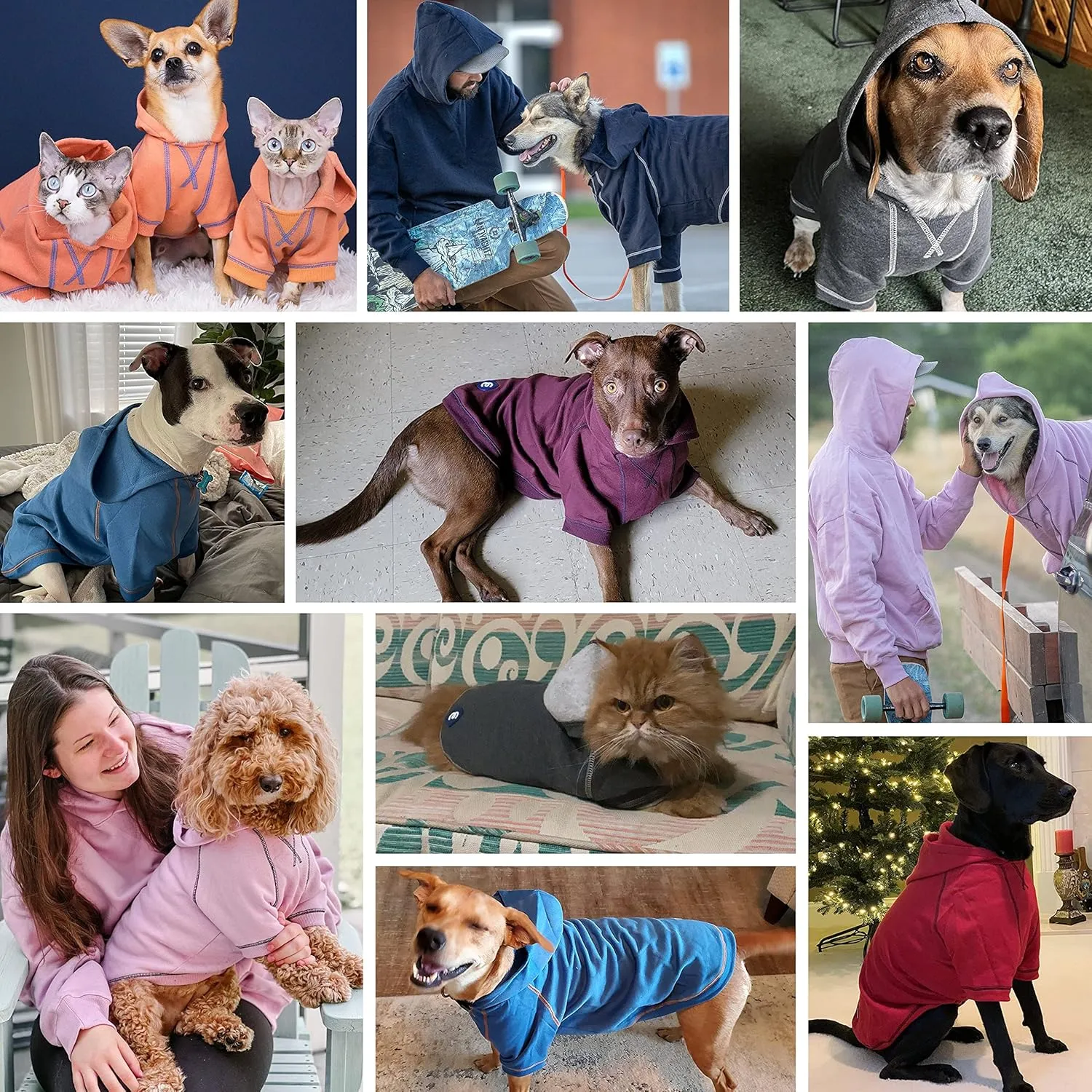 Blueberry Pet Essentials 2023 New Soft & Comfy Better Basic Cotton Blend Dog Hoodie Sweatshirt in Midnight Blue, Back Length 24", Pack of 1 Jacket for Dogs