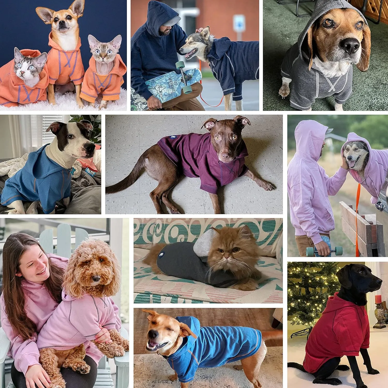 Blueberry Pet Essentials 2023 New Soft & Comfy Better Basic Cotton Blend Dog Hoodie Sweatshirt in Pink Lilac, Back Length 24", Pack of 1 Jacket for Dogs