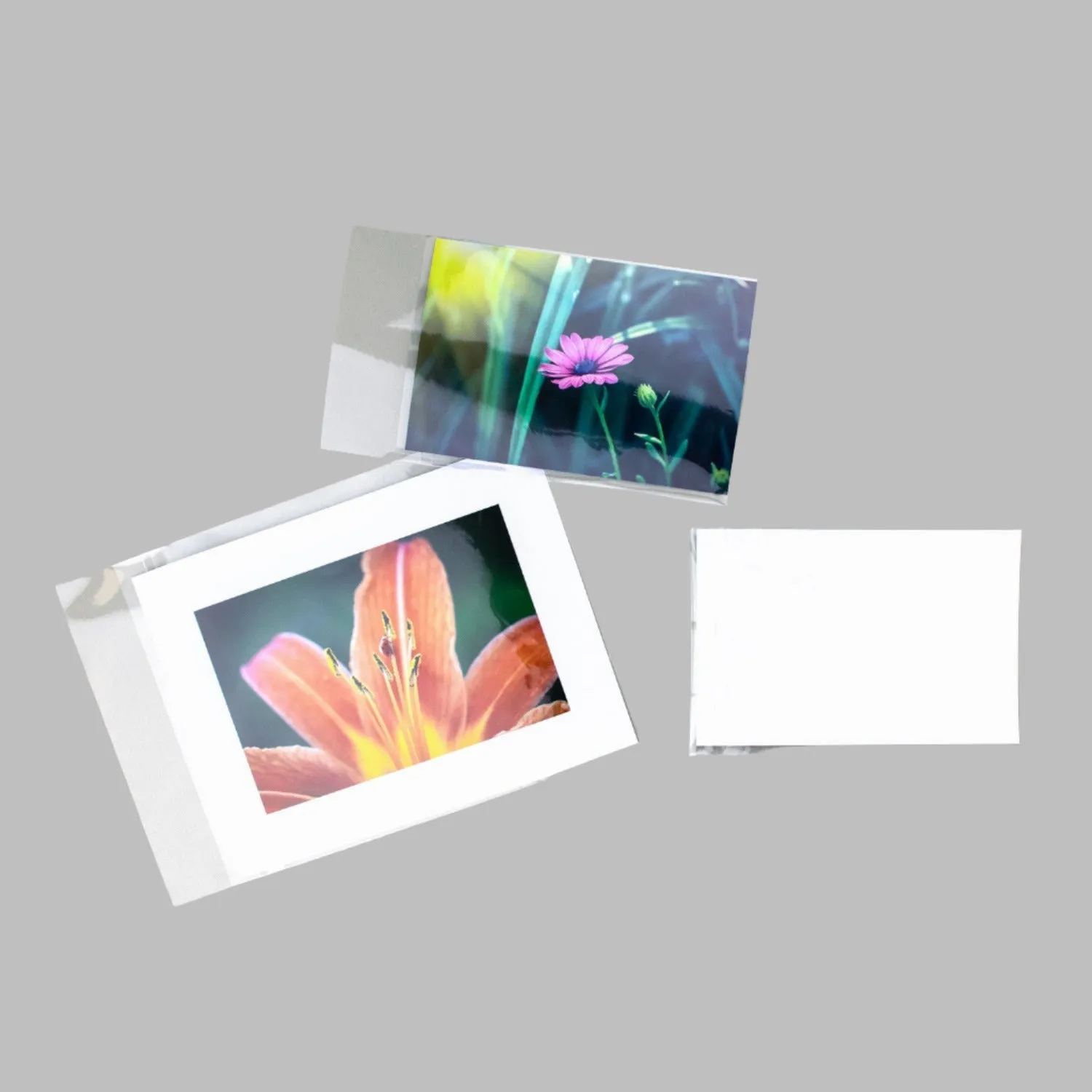 Clear Bagged Prints