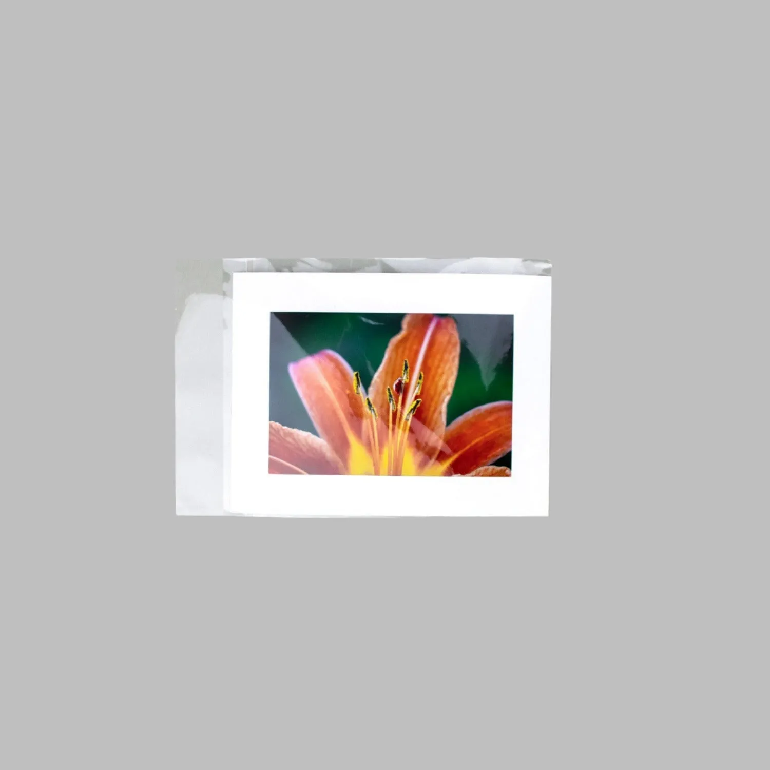 Clear Bagged Prints