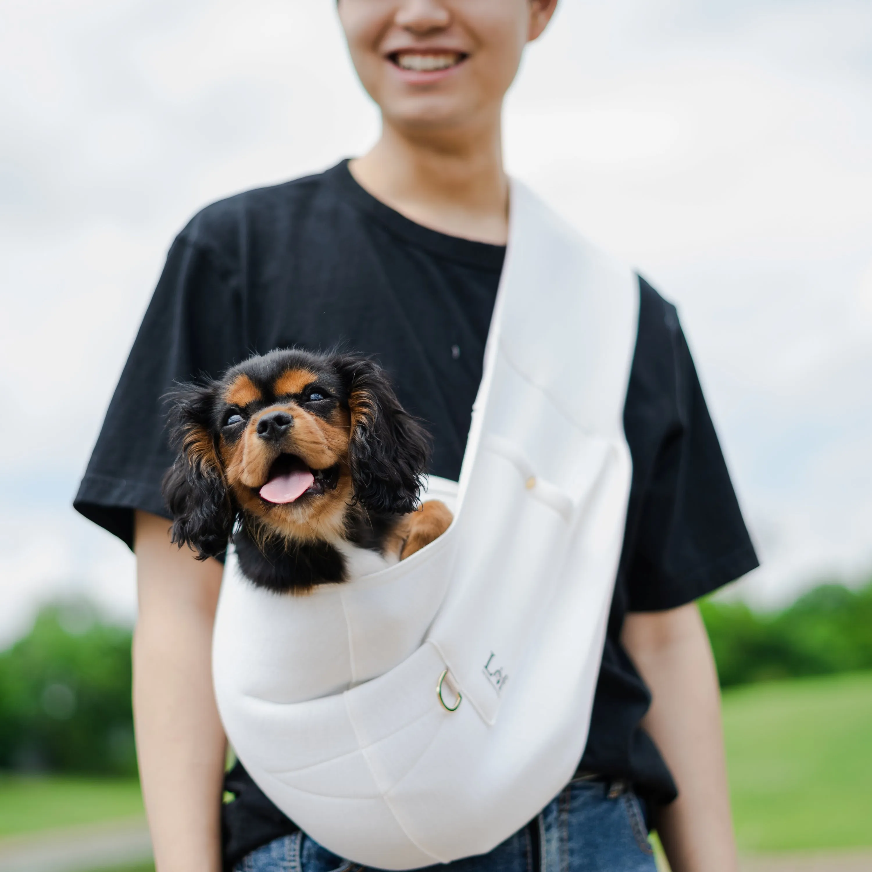 Comfortable Pet Sling Carrier For Small Dogs - Travel Safe For Dogs
