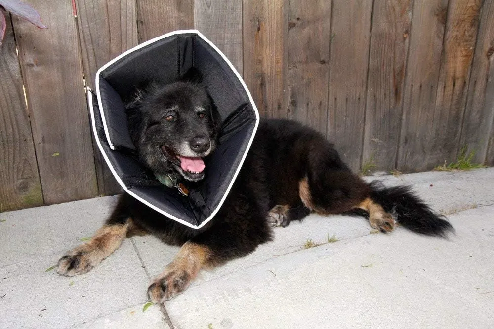 Comfy Cone Pet Cone for Dogs, Cats, XX-Large, Tan - Comfortable Soft Dog Cone Collar Alternative for After Surgery, Wound Care, Spay, Neuter - Dog and Cat Recovery Elizabethan-Collar