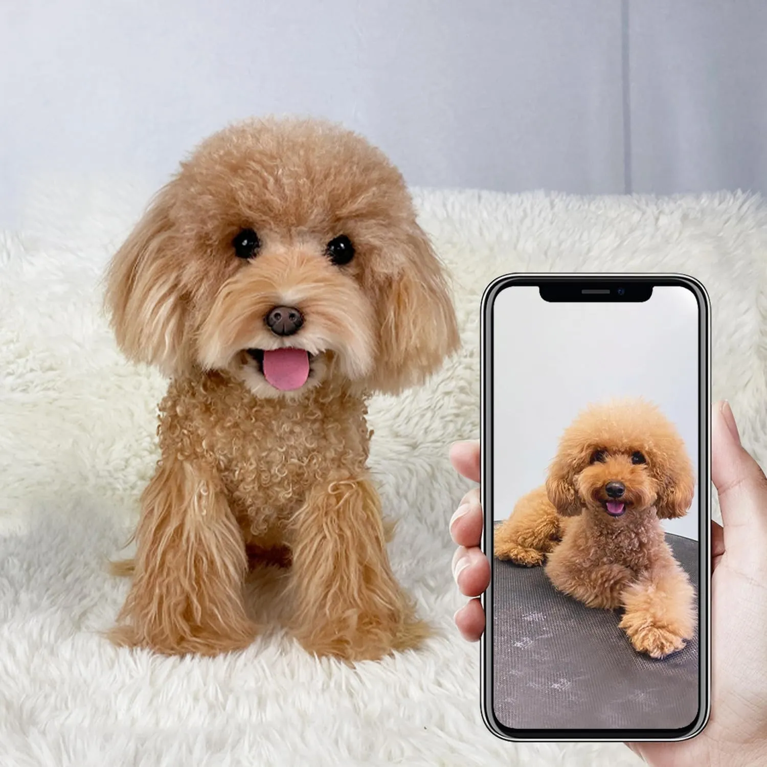 Custom Pet Dog Plush, Memorial Gift Home Office Decor Personalized Lifelike Replica Clone