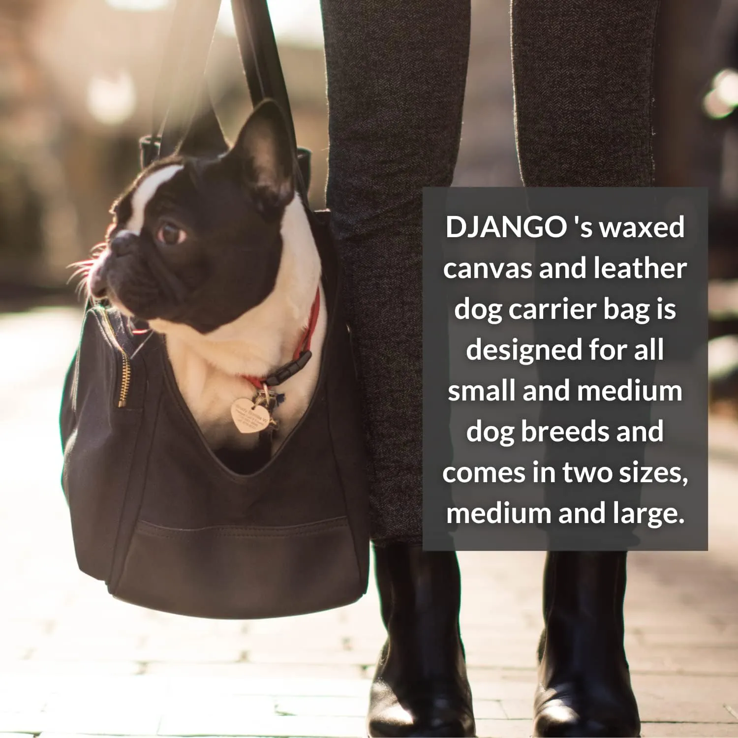 DJANGO Dog Carrier Bag Large - Waxed Canvas and Leather Soft Dog Travel Carrier - Black Travel Tote Bag for Pets with Harness Safety Tether, Secure Zipper Pockets, and Water-Resistant Lining