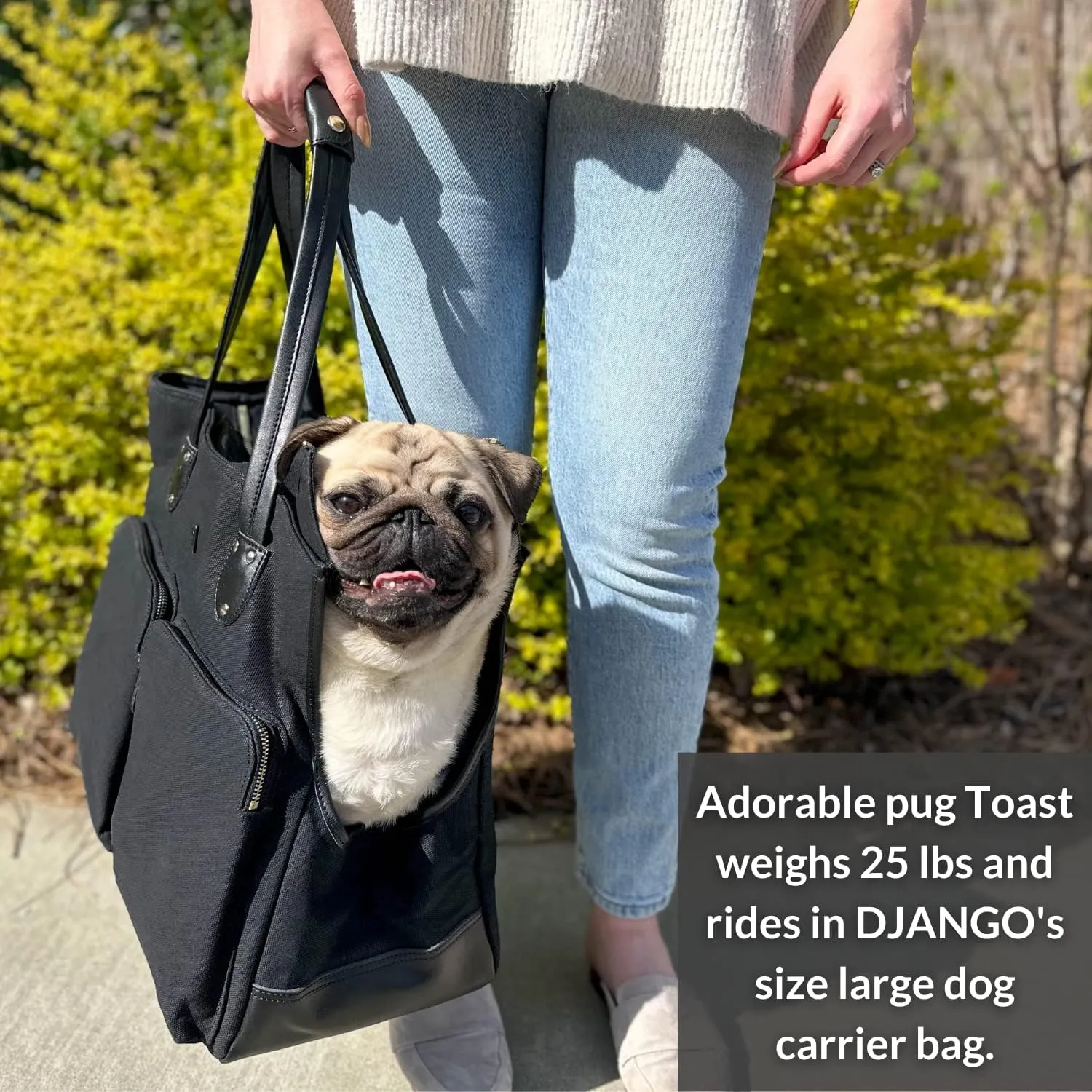 DJANGO Dog Carrier Bag Large - Waxed Canvas and Leather Soft Dog Travel Carrier - Black Travel Tote Bag for Pets with Harness Safety Tether, Secure Zipper Pockets, and Water-Resistant Lining