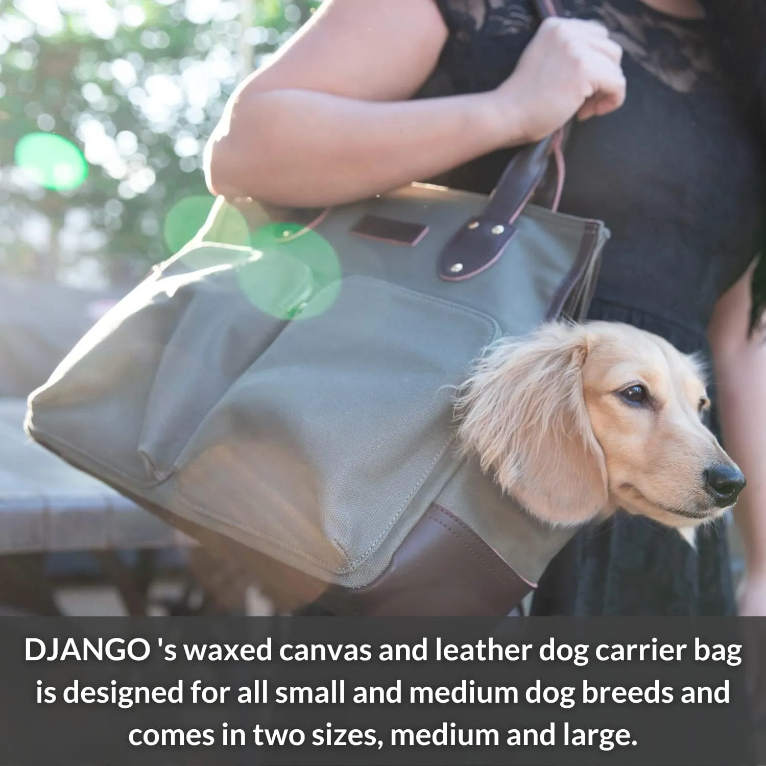 DJANGO Dog Carrier Bag Medium - Waxed Canvas and Leather Soft Dog Travel Carrier - Olive Green Travel Tote Bag for Pets with Harness Safety Tether, Secure Zipper Pockets, and Water-Resistant Lining