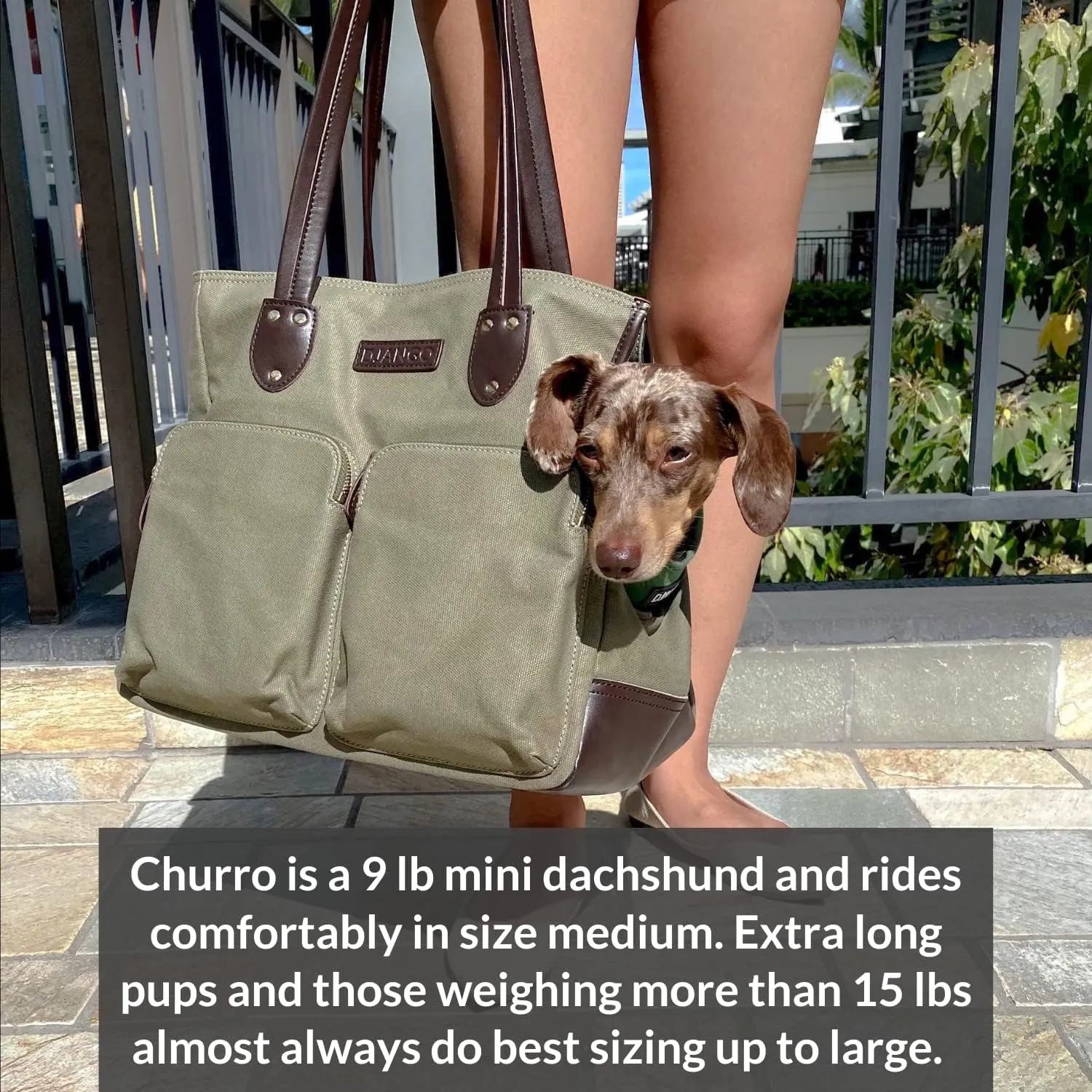 DJANGO Dog Carrier Bag Medium - Waxed Canvas and Leather Soft Dog Travel Carrier - Olive Green Travel Tote Bag for Pets with Harness Safety Tether, Secure Zipper Pockets, and Water-Resistant Lining