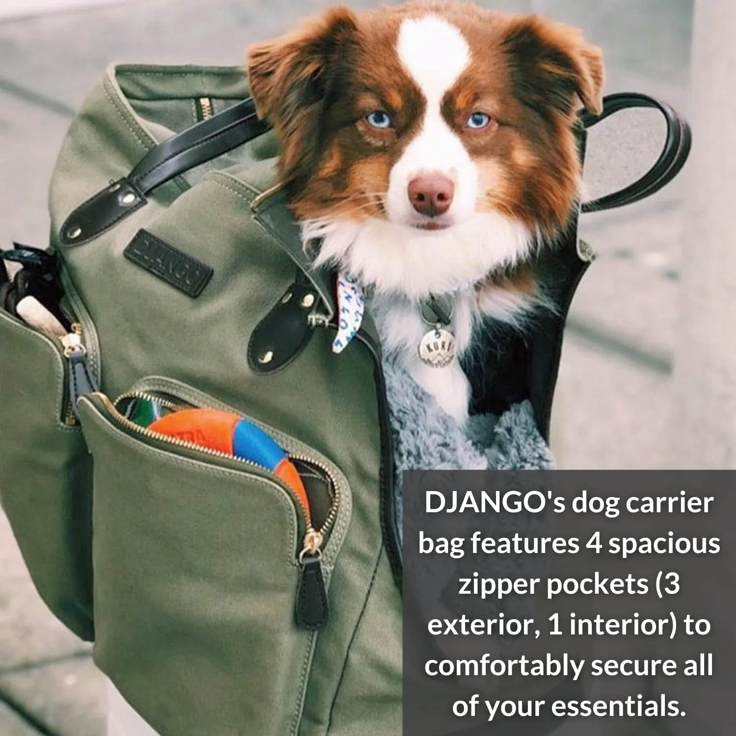 DJANGO Dog Carrier Bag Medium - Waxed Canvas and Leather Soft Dog Travel Carrier - Olive Green Travel Tote Bag for Pets with Harness Safety Tether, Secure Zipper Pockets, and Water-Resistant Lining