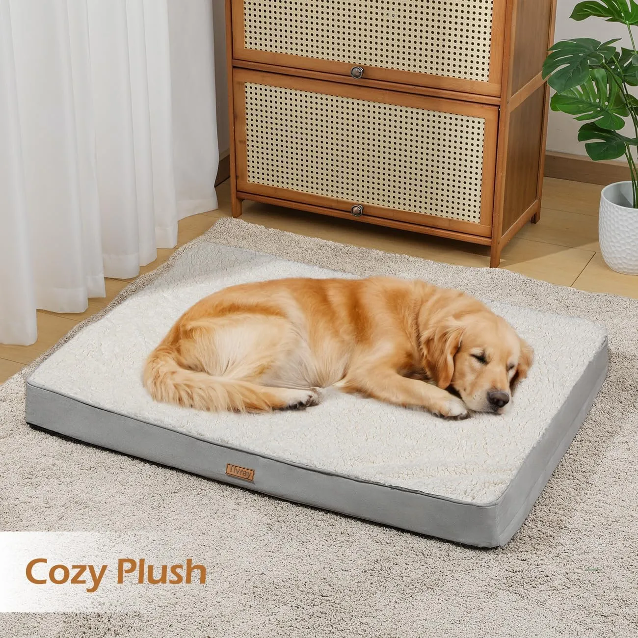 Dog Bed Cover, Washable Replacement Large Dog Bed Sheet with 3-Sided Continuous Zipper, Waterproof Liner, Soft Plush, Pet Mattress Fluffy Protector, 44x32x3 inches - XL, Cover Only White