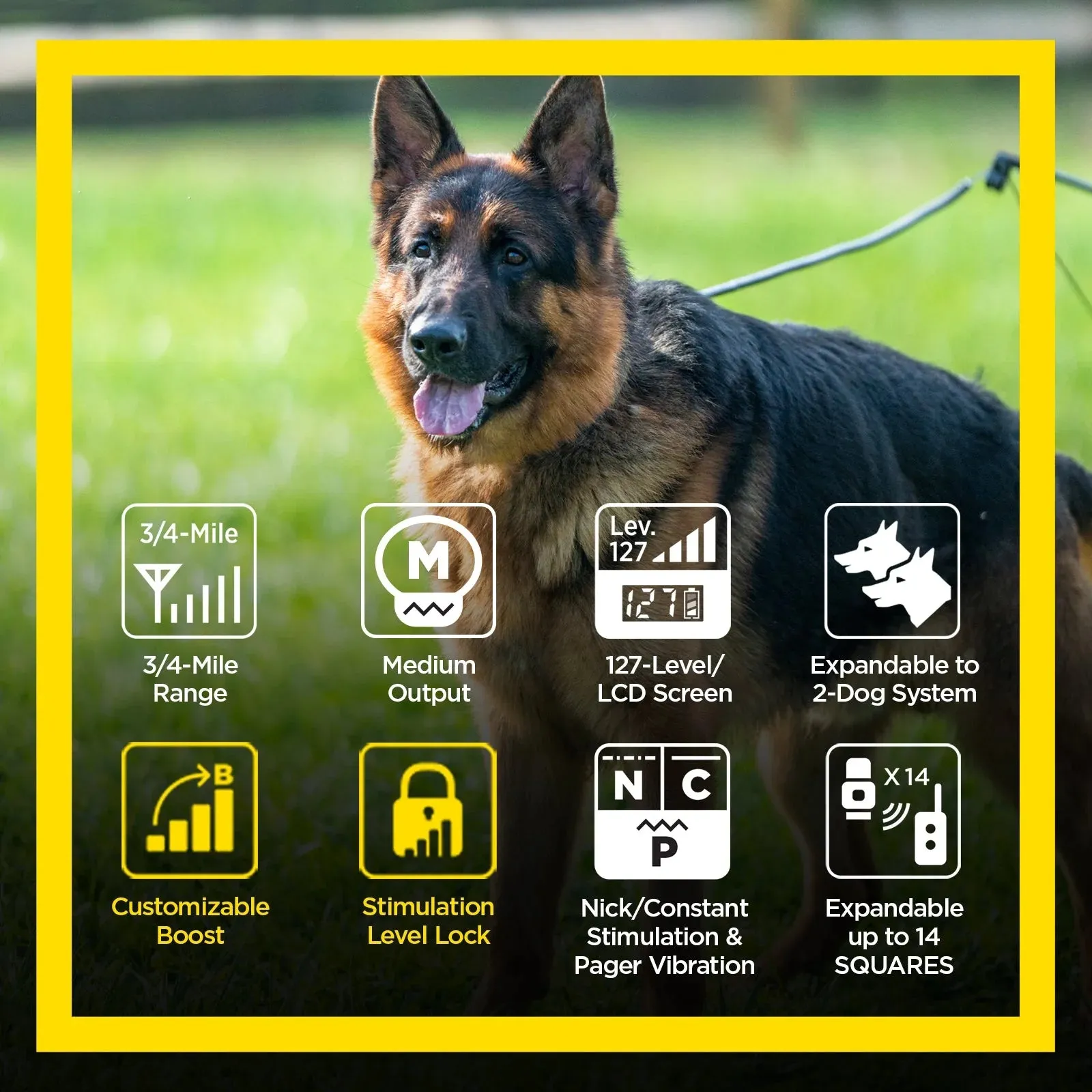 Dogtra ARC HANDSFREE Plus Boost and Lock Remote Dog Training E-Collar | Waterproof