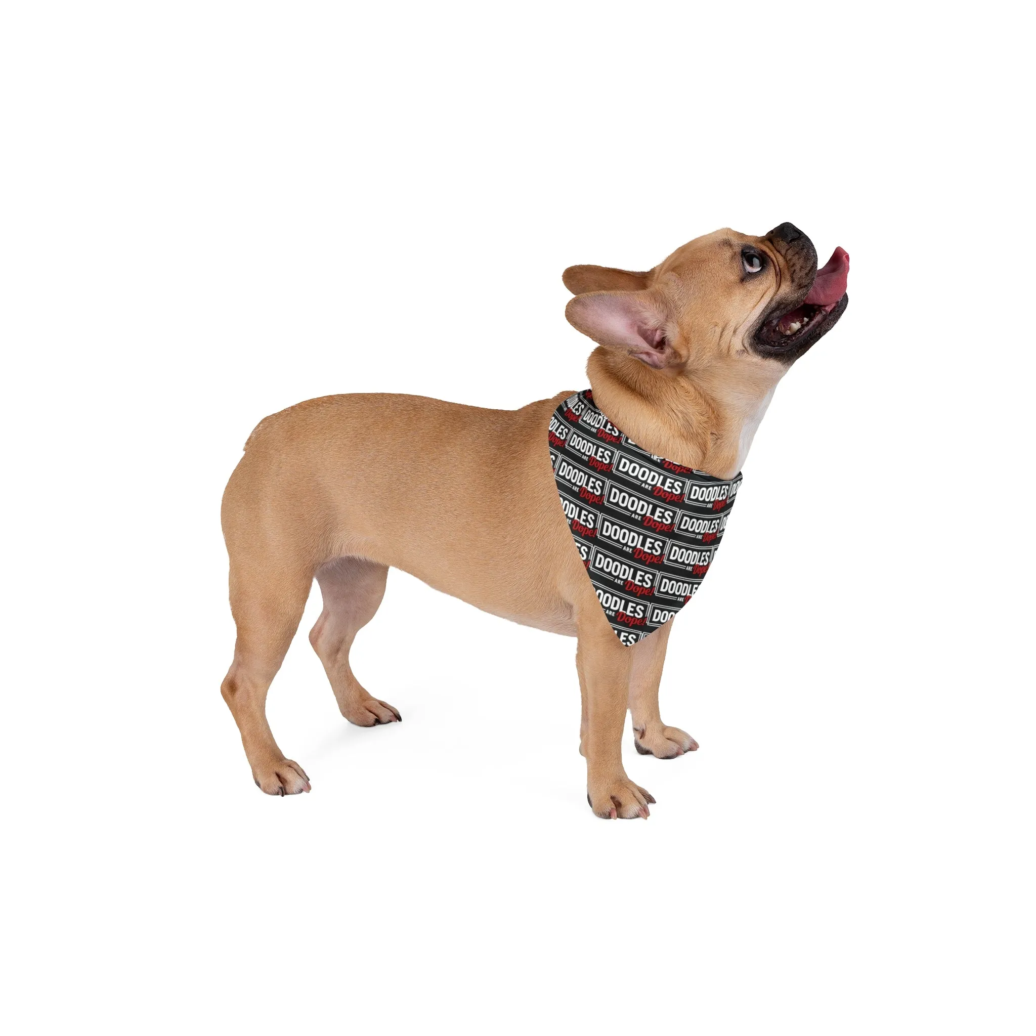 Doodles Are Dope Dog Bandana - Black