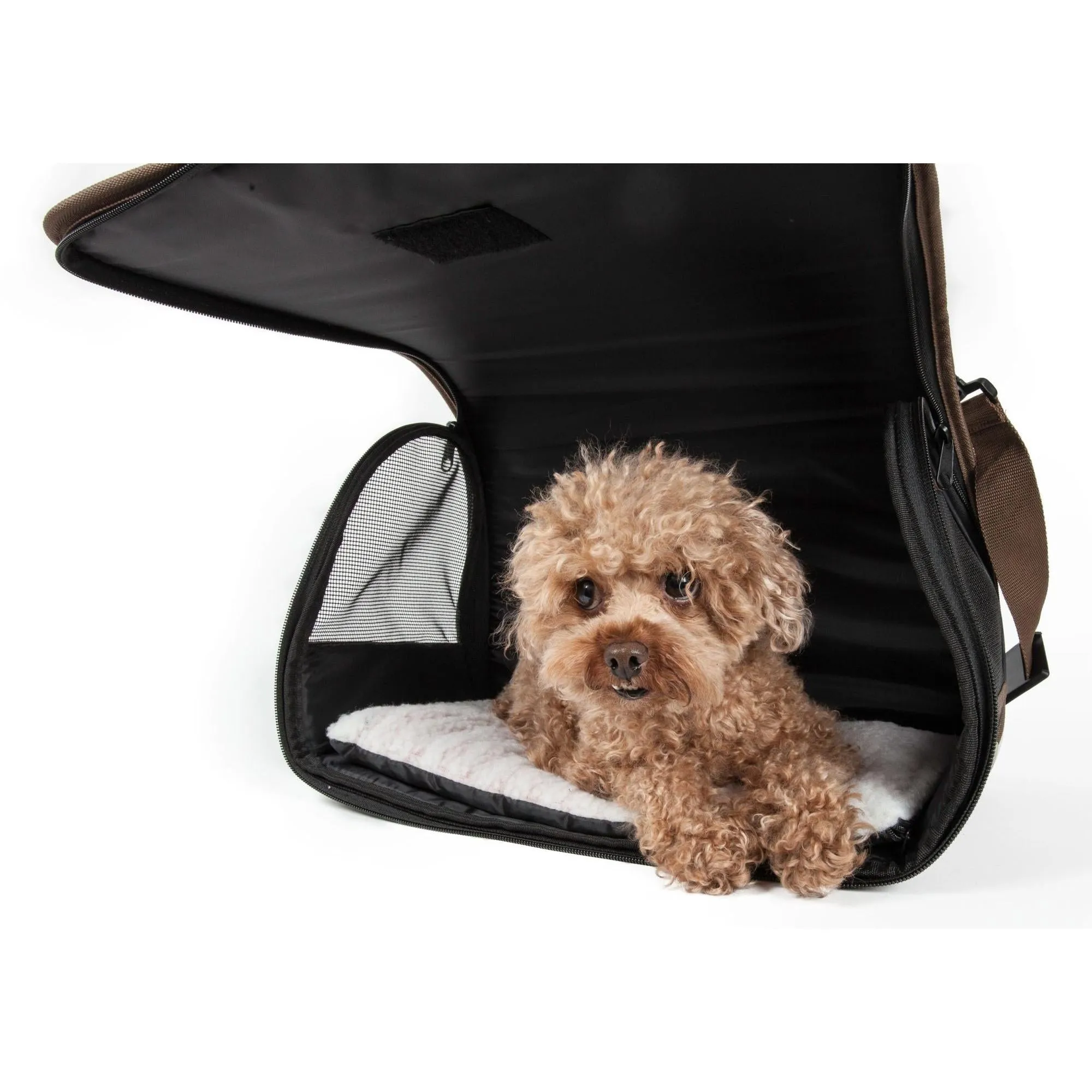 Explorer Folding Pet Carrier