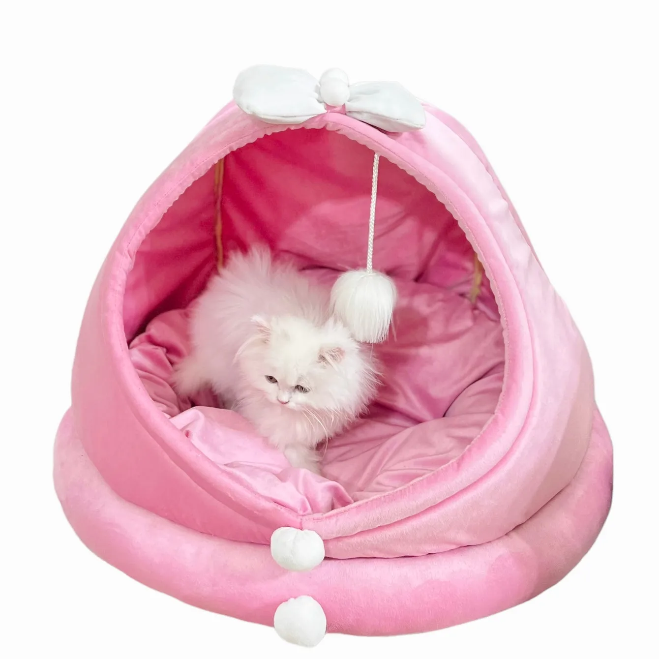 Fairy pet house 🧚‍♀️