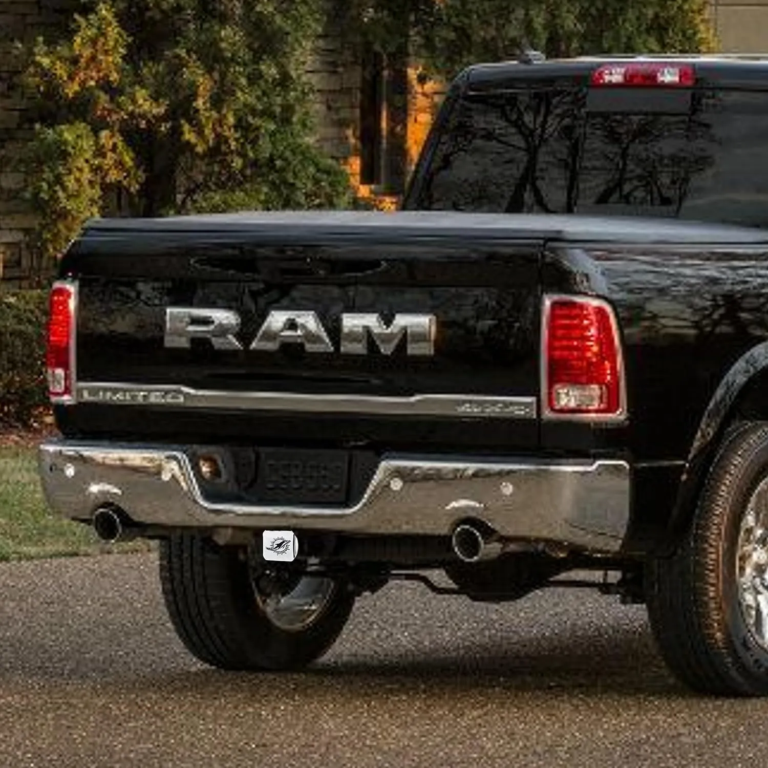 FANMATS NFL Unisex-Adult Chrome & Black Logo