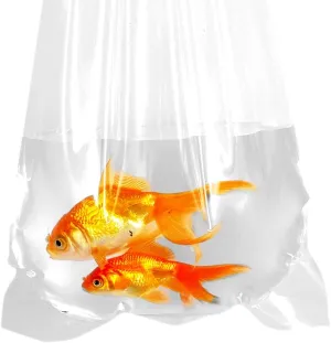Fishery Bags 10 Inches Leak Proof Rounded Bottom Corners Clear Plastic Fish Bags for Marine and Tropical Fish Transport. (10" x 24" / 100 Pack / 2 Mil)