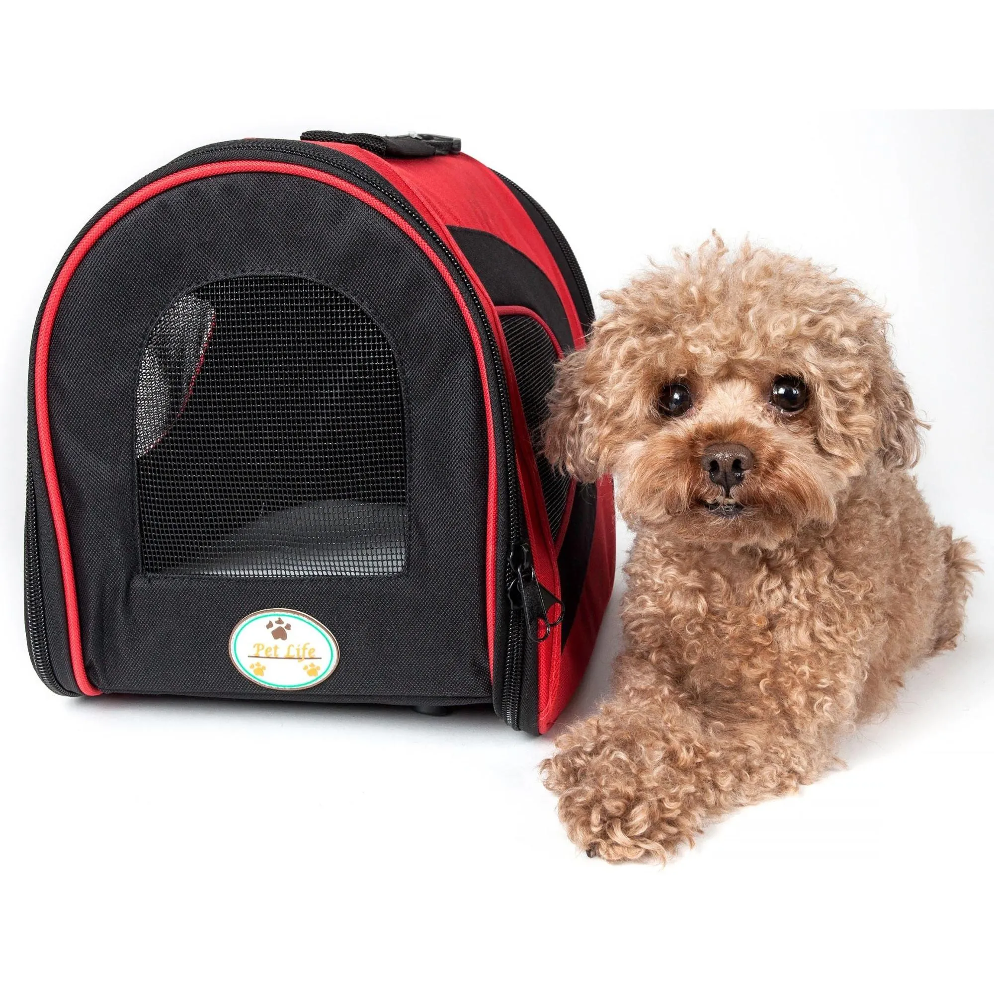 Folding Mesh Pet Carrier Explorer