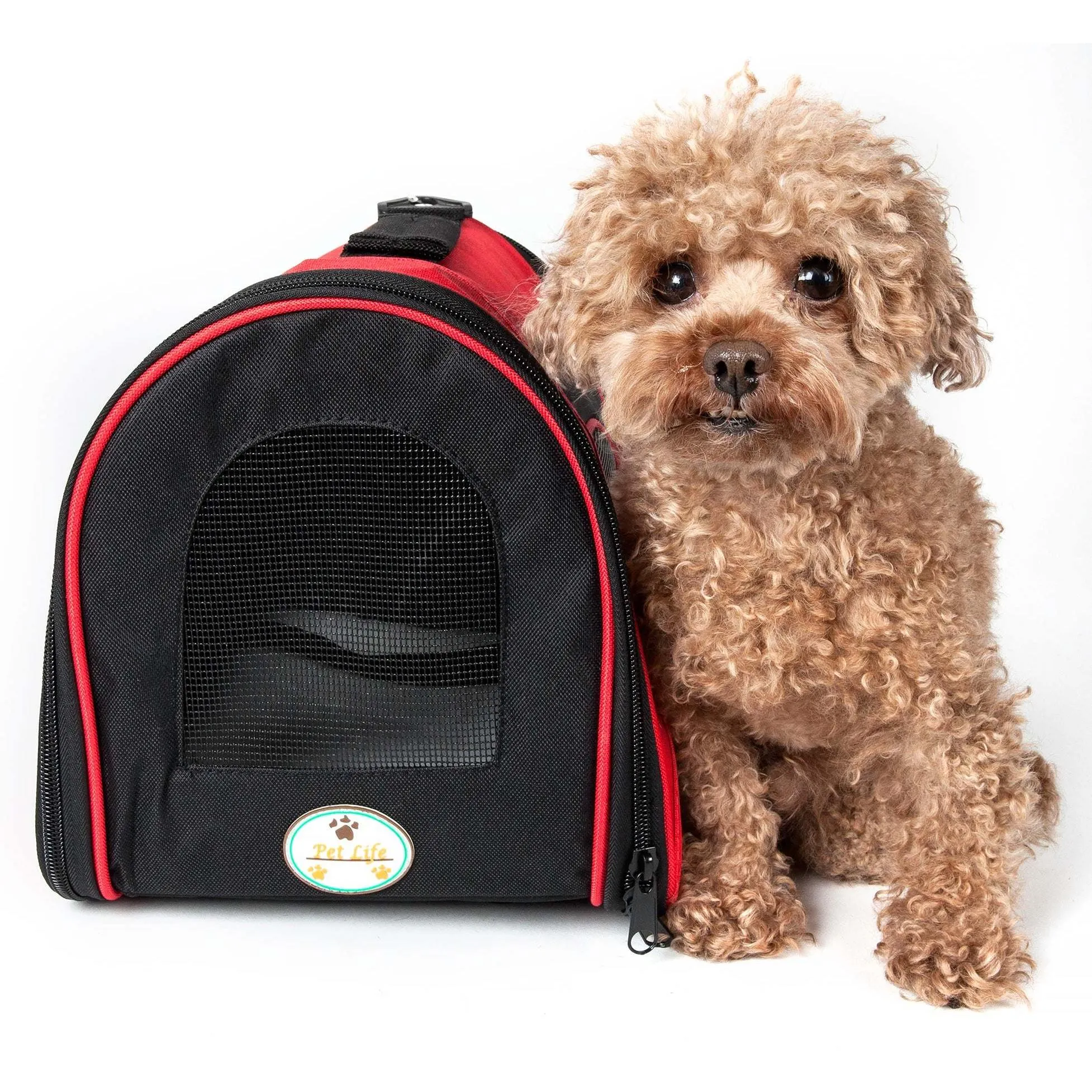 Folding Mesh Pet Carrier Explorer