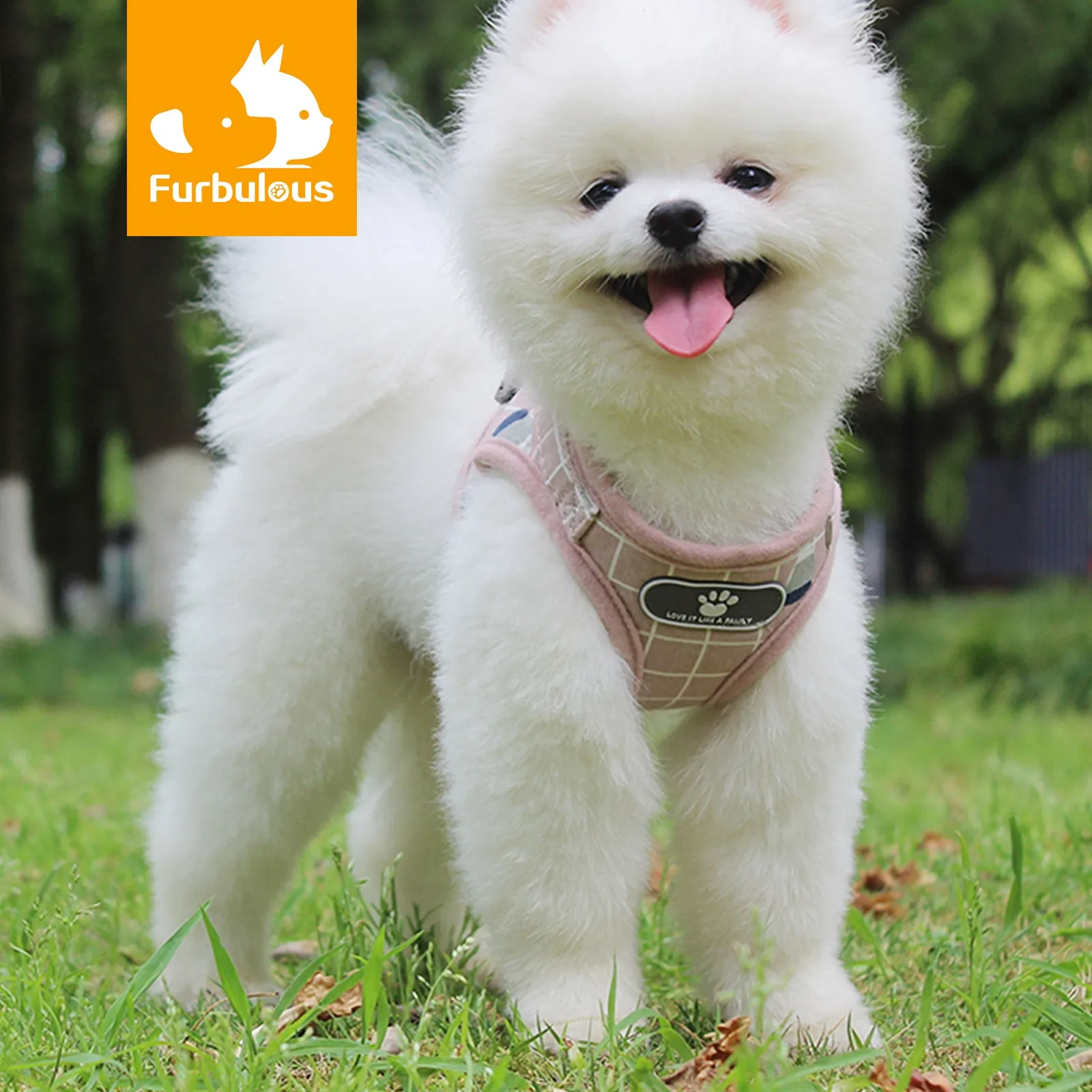 Furbulous No Pull Cat Small Dog Harness and Lead Set Adjustable Reflective Step-in Vest Harnesses Mesh Padded Plaid Escape Proof Puppy Jacket