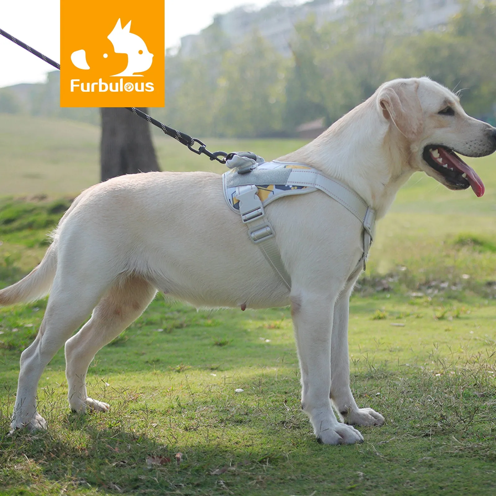 Furbulous No Pull Dog Harness Adjustable Pet Harness Reflective Explosion-proof Shock Dog Harness with 1.5m Lead - Blue Large