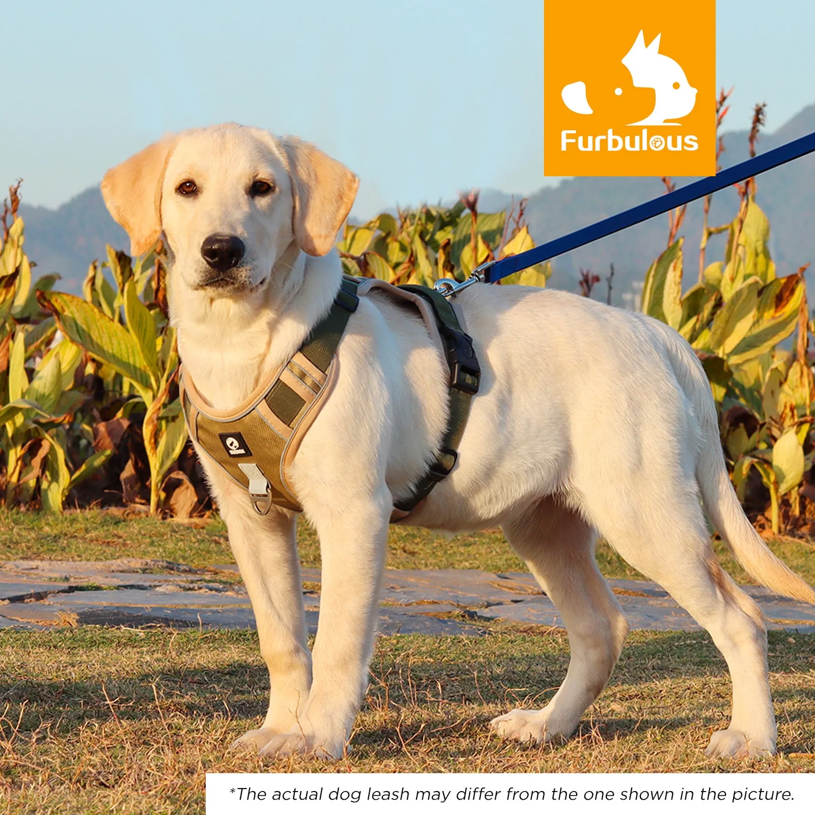 Furbulous Tactical Dog Harness Adjustable No Pull Pet Harness Reflective Working Training Dog Harness with 1.5m Lead - Khaki Small