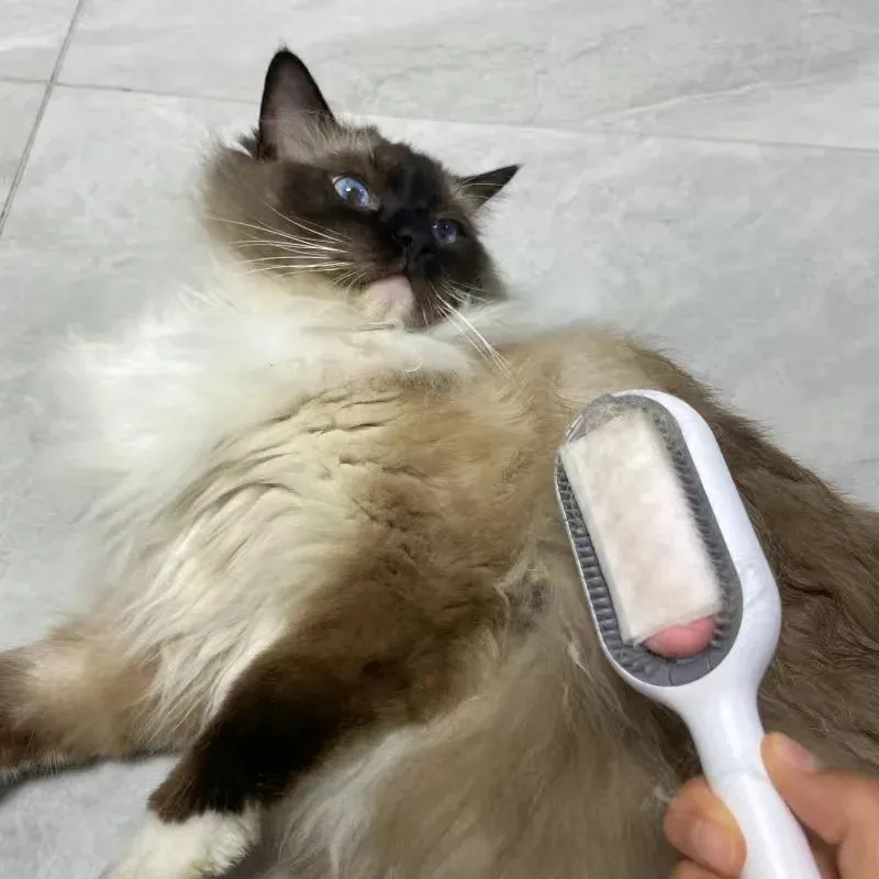 GroomEase Double-Sided Pet Hair Removal Set