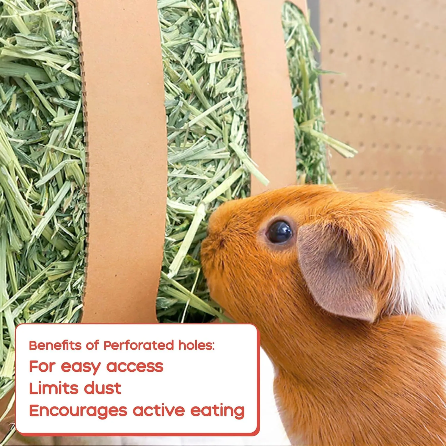 GuineaDad Orchard Hay Box – 3 Pack Guinea Pig Food – Cage-Mounted Feeding System – Timothy Hay for Guinea Pigs, Rabbits & Small Animals – 100% Recyclable & Biodegradable