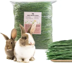 Hand-Selected Timothy Hay, All Natural Timothy Hay Pet Food for Rabbits, Guinea Pigs, Dutch Pigs, Chinchillas, Hamsters & Other Small Animals, Veterinarian Recommended, Digestive, Eco-Friendly