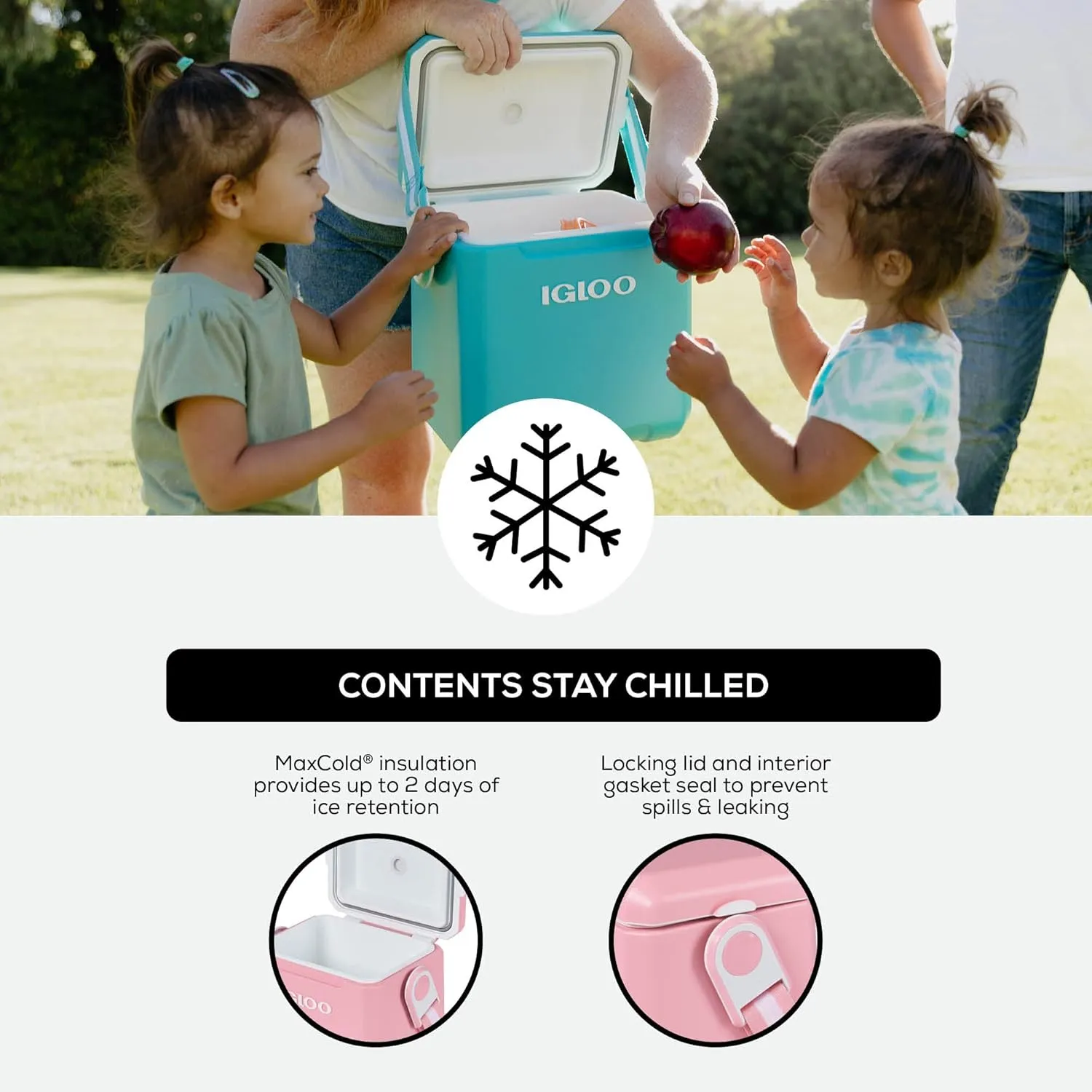 Igloo 11 Qt Tag Along Too Strapped Picnic Style Cooler