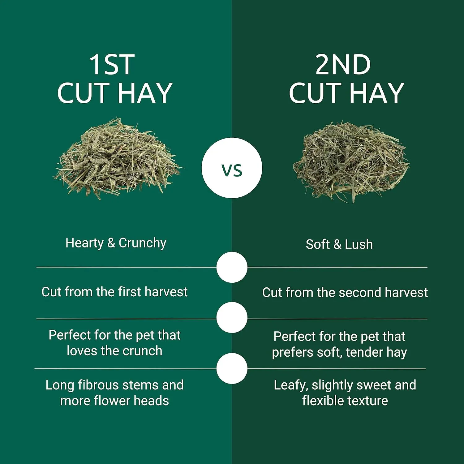 Kaytee 2nd Cut Soft and Lush Timothy Hay for Pet Guinea Pigs, Rabbits & Other Small Animals, 6.5 Pound