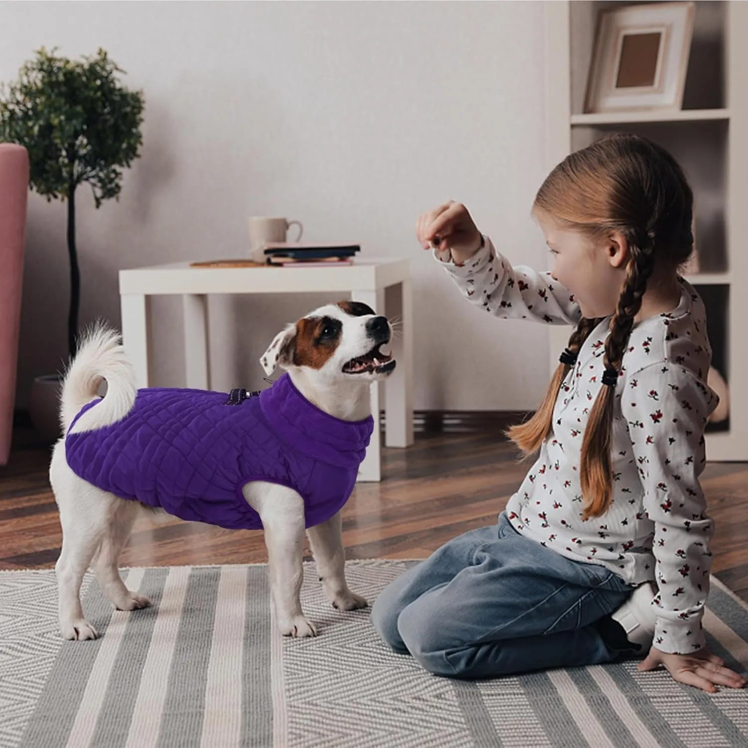 Kuoser Large Dog Coat - Windproof & Warm, Built-in Harness, Perfect for Large Breeds like Labrador & Beagle, Purple XXL