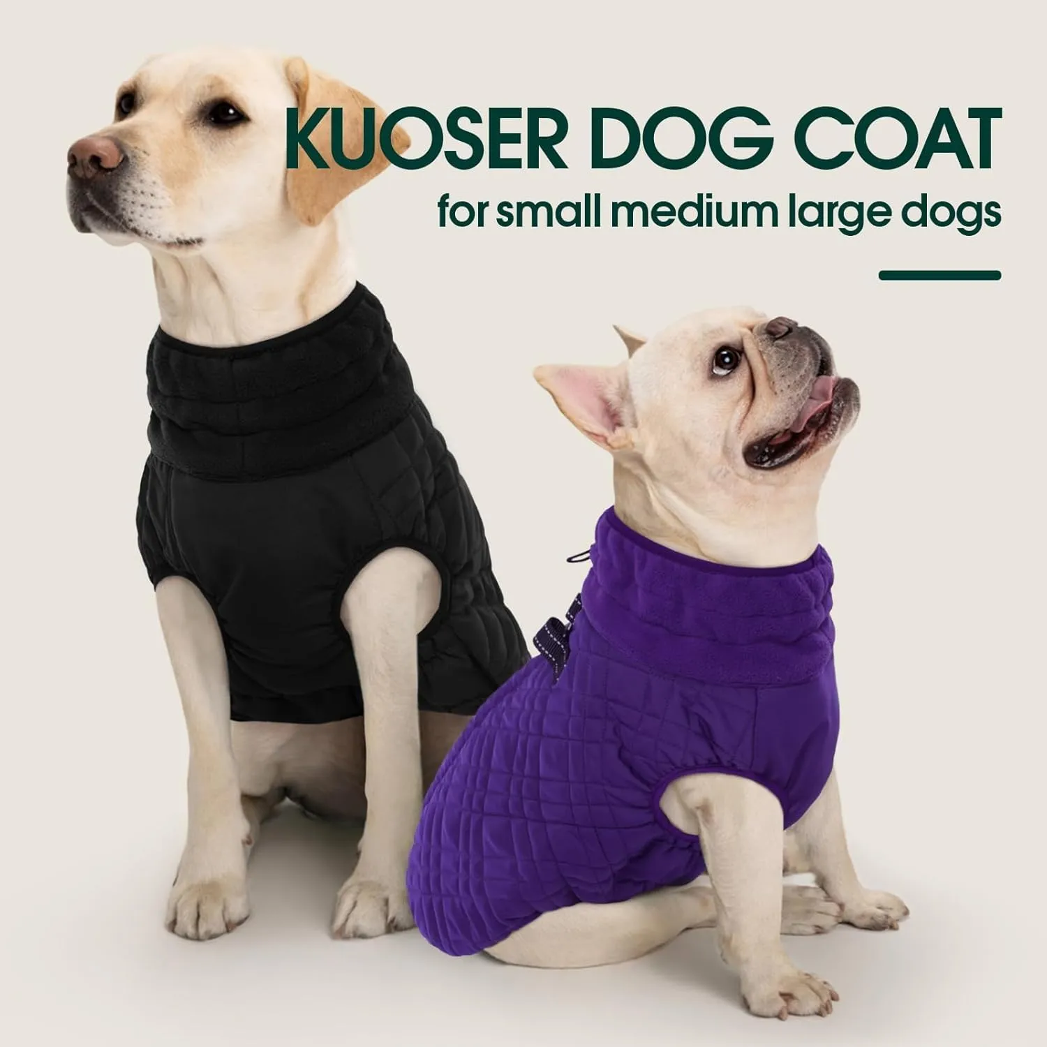 Kuoser Large Dog Coat - Windproof & Warm, Built-in Harness, Perfect for Large Breeds like Labrador & Beagle, Purple XXL