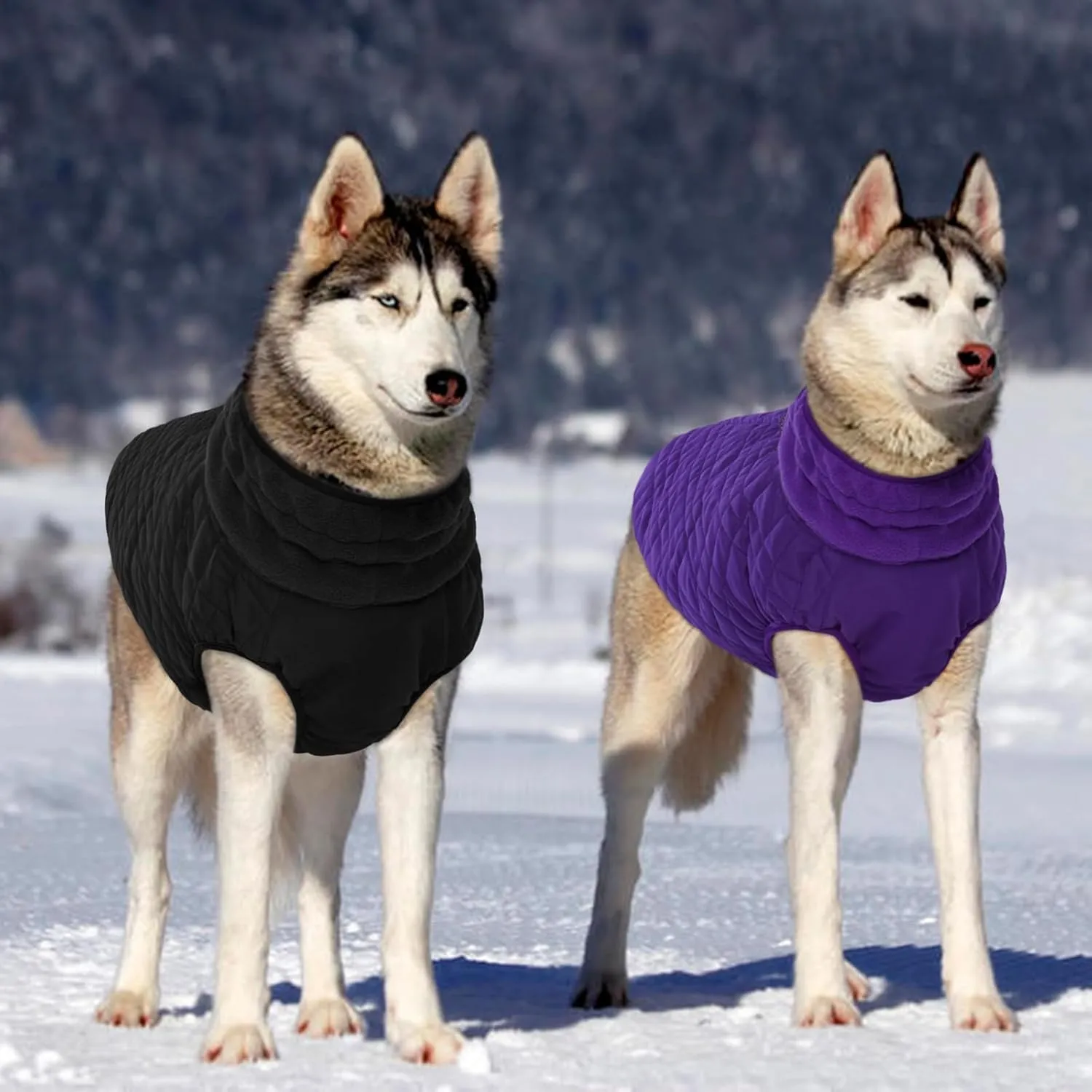 Kuoser Large Dog Coat - Windproof & Warm, Built-in Harness, Perfect for Large Breeds like Labrador & Beagle, Purple XXL