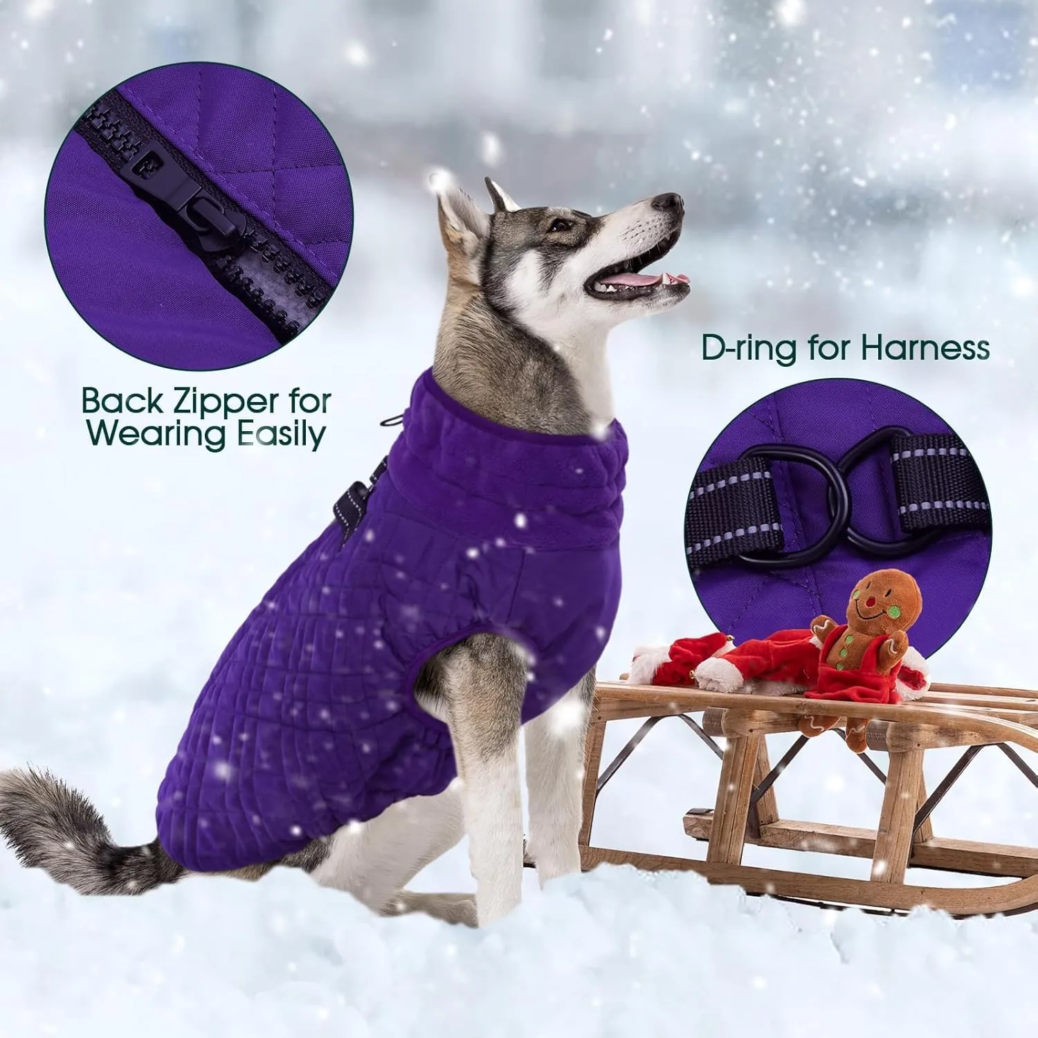 Kuoser Large Dog Coat - Windproof & Warm, Built-in Harness, Perfect for Large Breeds like Labrador & Beagle, Purple XXL