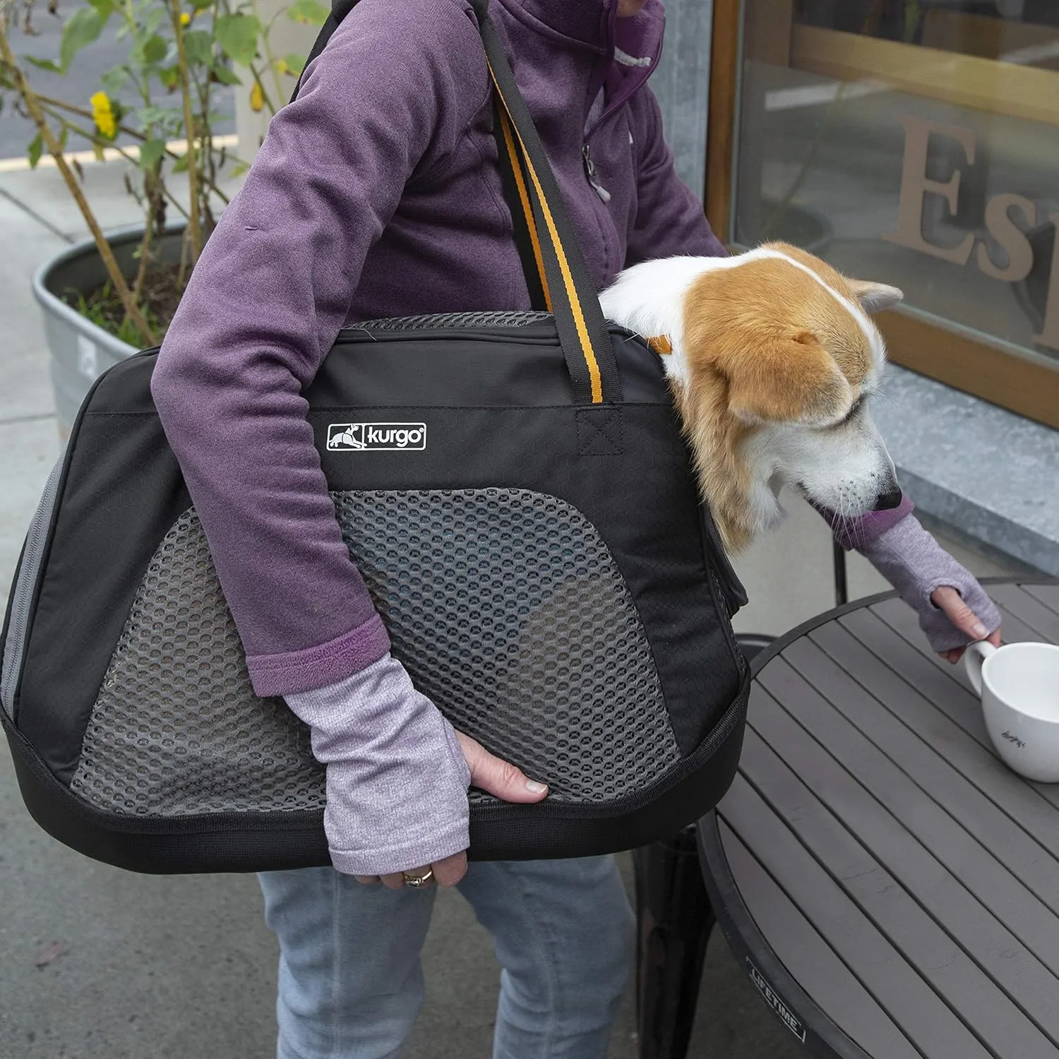 Kurgo Explorer Dog Carrier, Soft Sided Pet Carrier Bag, Duffle Bag Carrier for Dogs, Water-Resistant, Airline Compliant, Wander, Metro, & Explorer Carriers, for Cats & Small Dogs