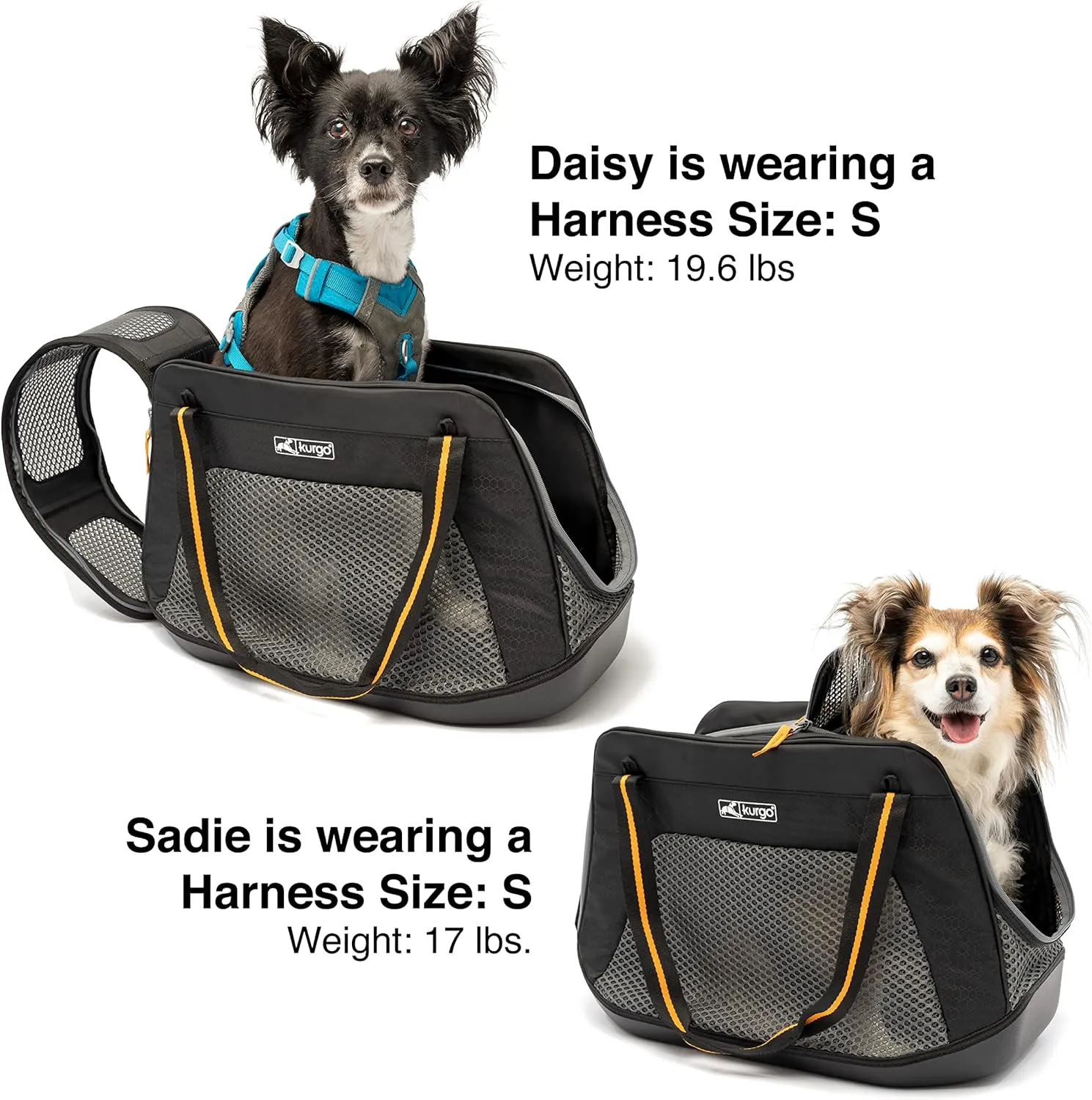 Kurgo Explorer Dog Carrier, Soft Sided Pet Carrier Bag, Duffle Bag Carrier for Dogs, Water-Resistant, Airline Compliant, Wander, Metro, & Explorer Carriers, for Cats & Small Dogs