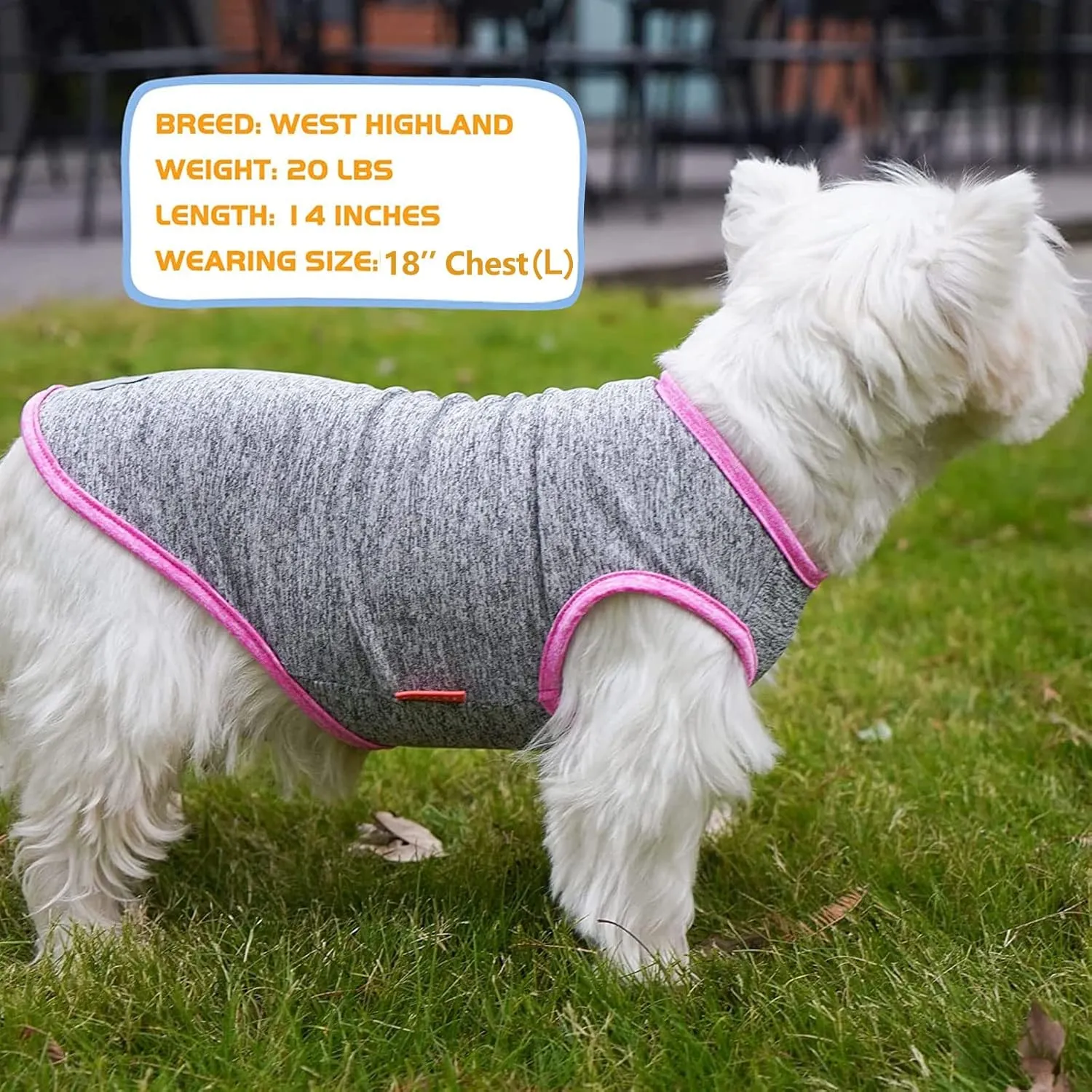 KYEESE 2 Pack Dog Shirts Quick Dry Soft Stretchy Dog T-Shirts with Reflective Label Sun Protection Tank Top Sleeveless Vest Pet Clothes for Small Medium Dogs, Medium, Grey Hotpink