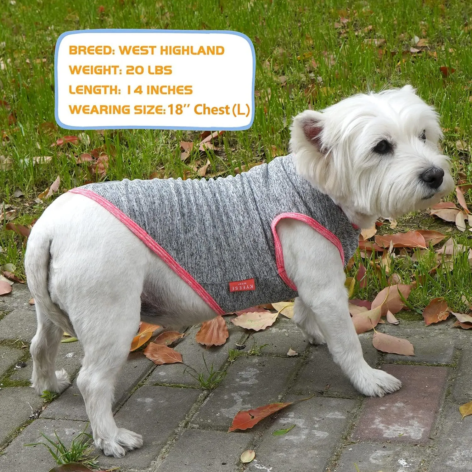KYEESE 2 Pack Dog Shirts Quick Dry Soft Stretchy Dog T-Shirts with Reflective Label Tank Top Sleeveless Vest Sun Protection Pet Clothes for Small Pet, Coral Red Grey, L
