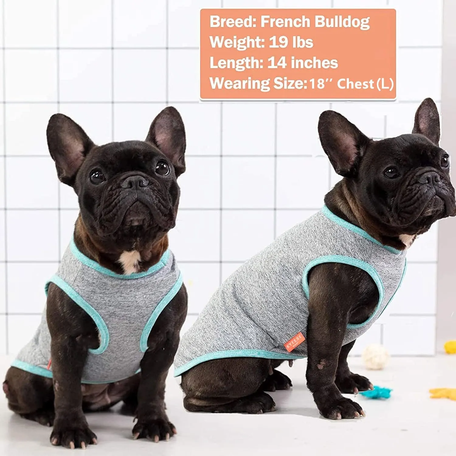 KYEESE 2 Pack Dog Shirts Quick Dry Soft Stretchy Pet T-Shirts with Reflective Label Tank Top Sleeveless Vest Sun Protection Dog Clothes for Small Medium Dogs, Medium, Grey Blue