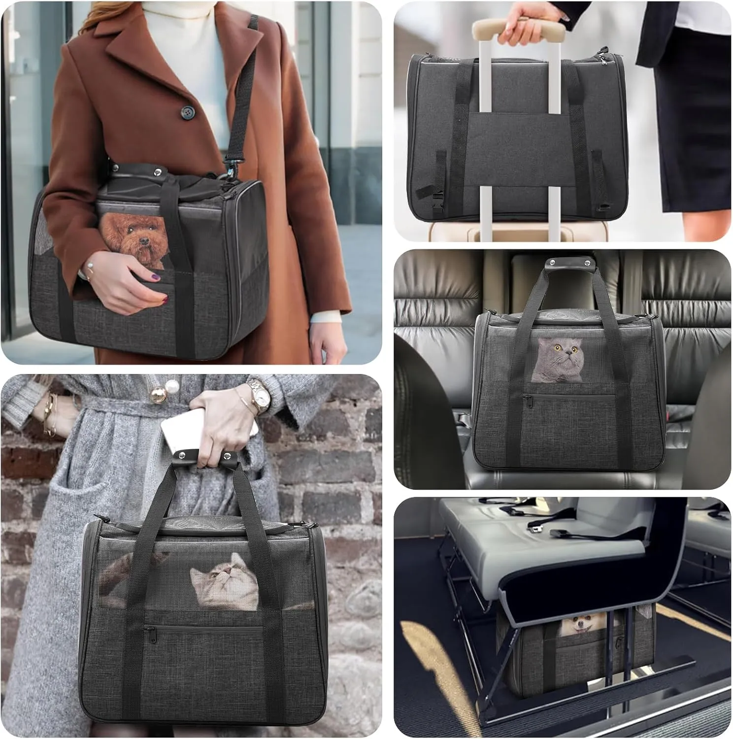 Large Cat Carrier – Soft-Sided Airline-Approved Pet Carrier Bag with Top Opening, Portable Travel Carrier for Big Cats & Dogs Up to 20lbs – Safety Zippers, Collapsible Bowl, Dark Gray