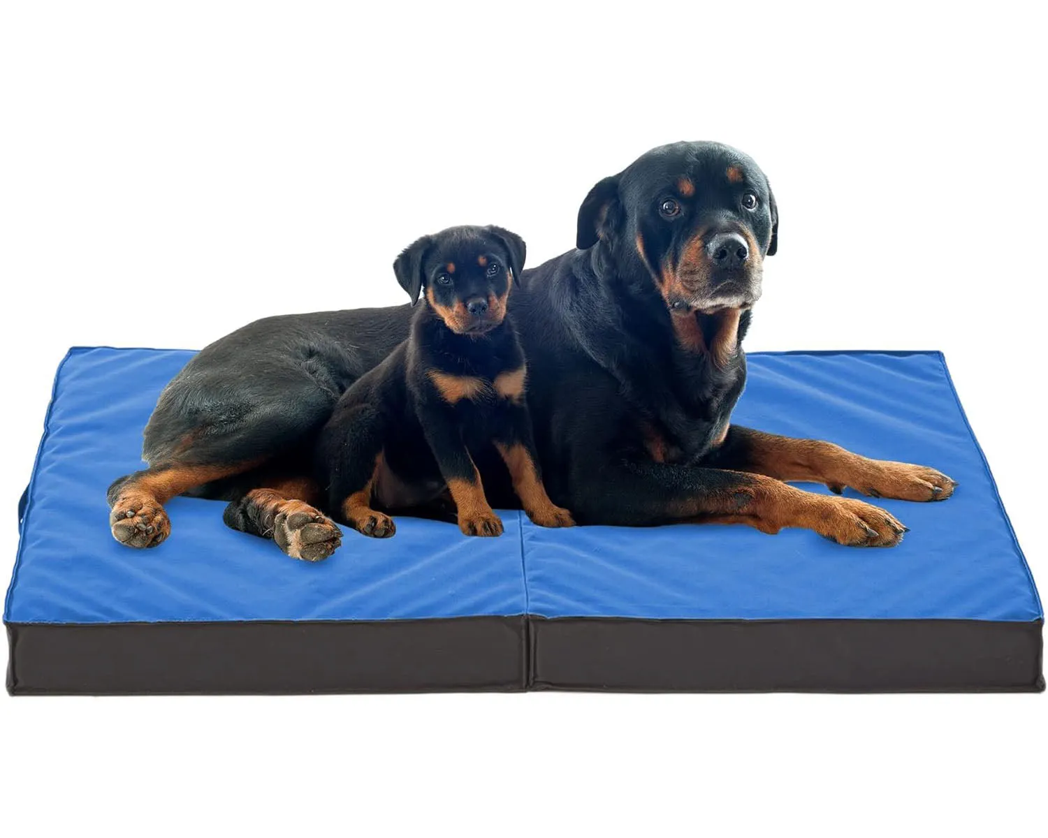 LFC PETS Outdoor Dog Beds for Large Dogs, Waterproof Dog Bed Portable with Washable Cover, Foldable Dog Bed Orthopedic for Outside Indoor, 41inch All Weather to Use
