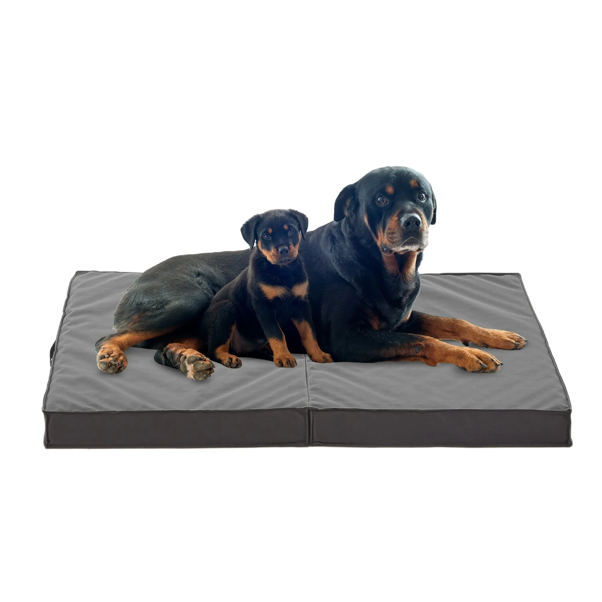LFC PETS Outdoor Dog Beds for Large Dogs, Waterproof Dog Bed Portable with Washable Cover, Foldable Dog Bed Orthopedic for Outside Indoor, 41inch All Weather to Use