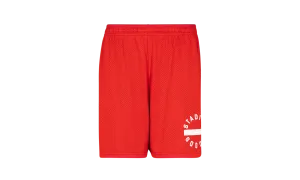 Mesh Gym Shorts "Superb Red"