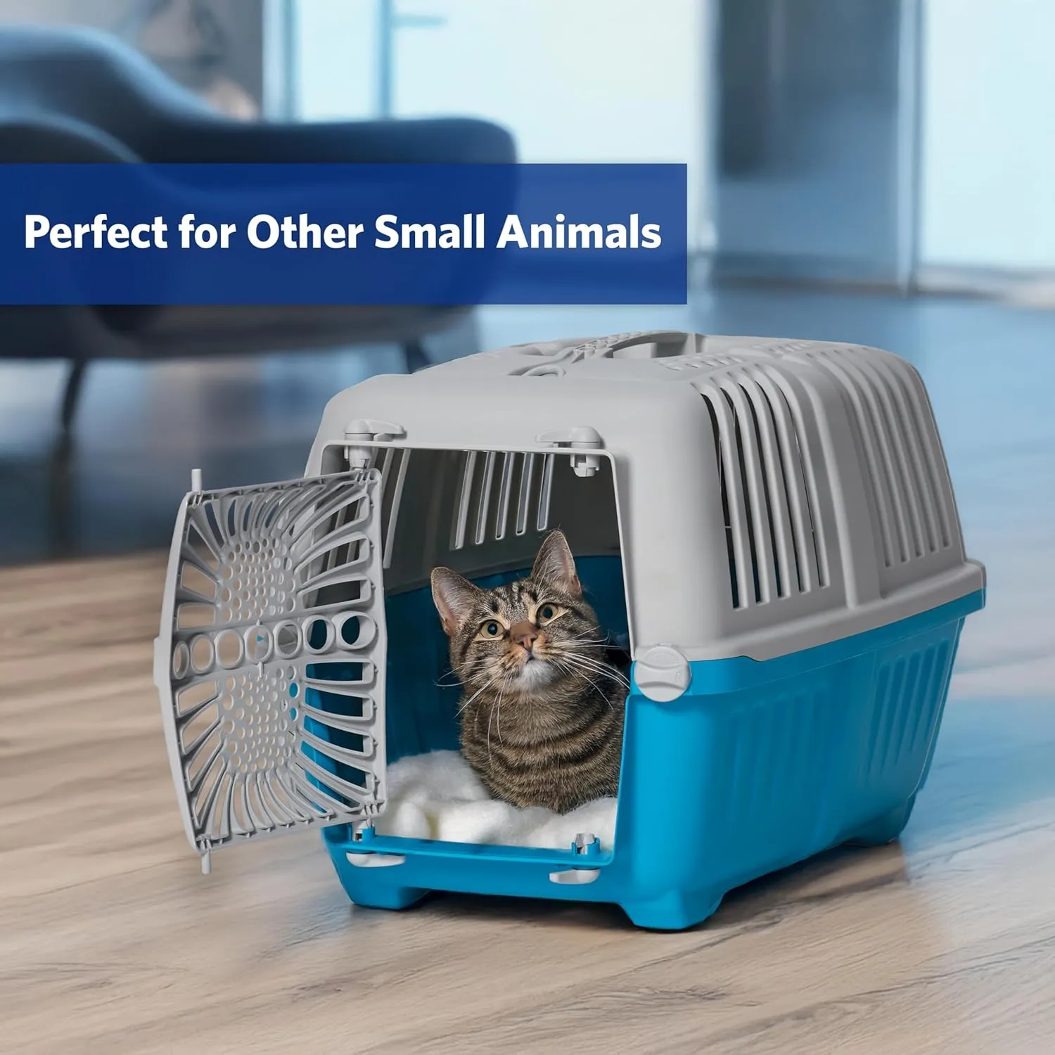 MidWest Homes for Pets Spree Travel Pet Carrier | Hard-Sided Pet Kennel Ideal for Toy Dog Breeds, Small Cats & Small Animals | Dog Carrier Measures 19.1L x 12.5 W x 13H - Inches